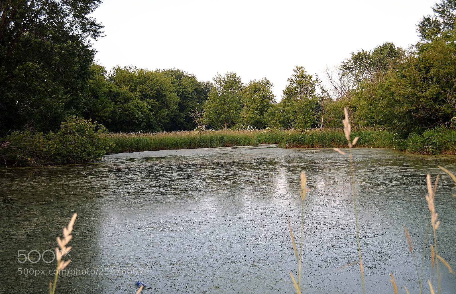 Nikon D3200 sample photo. Untitled photography