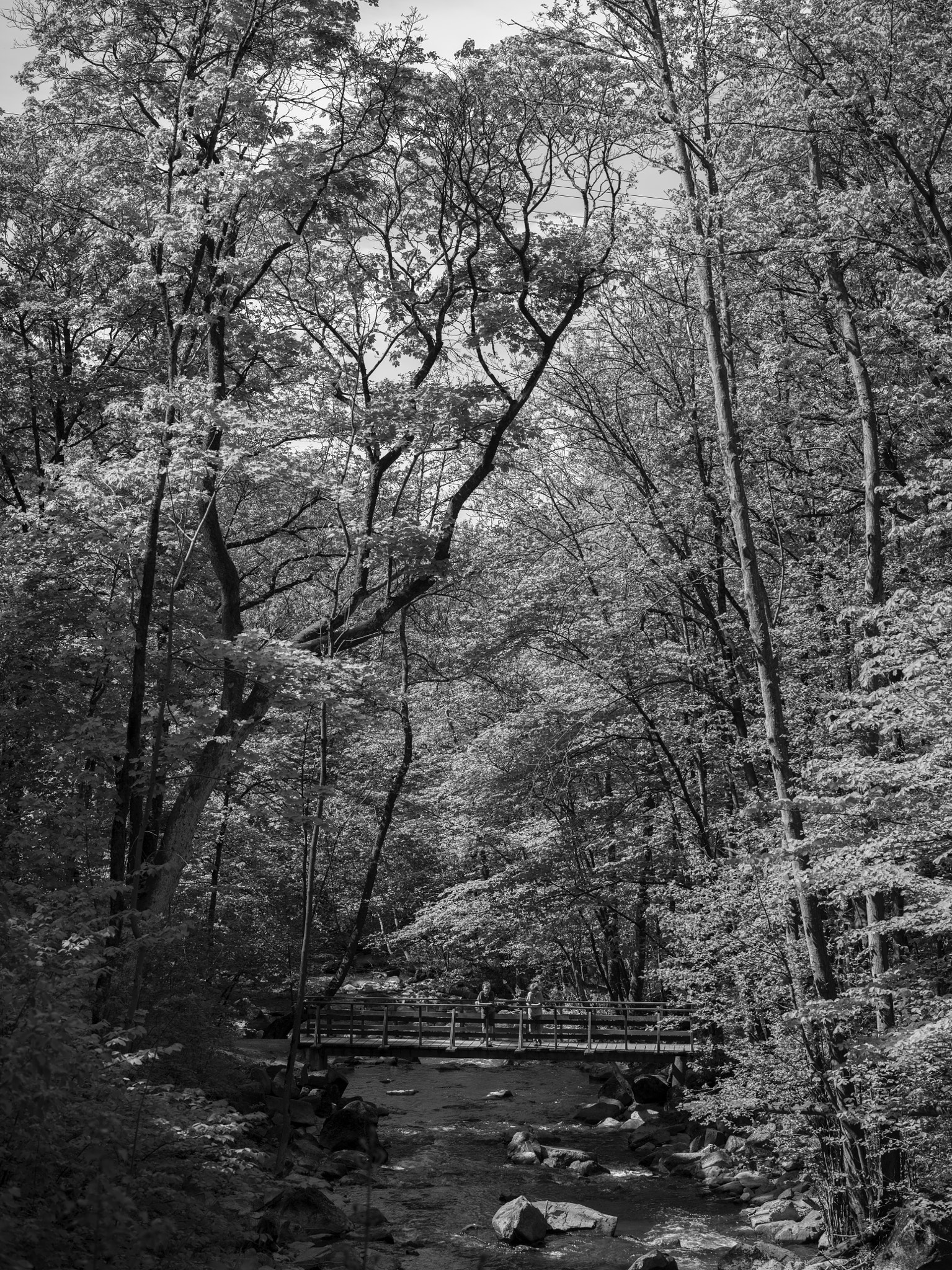 Hasselblad X1D-50c sample photo. Boys on the bridge photography