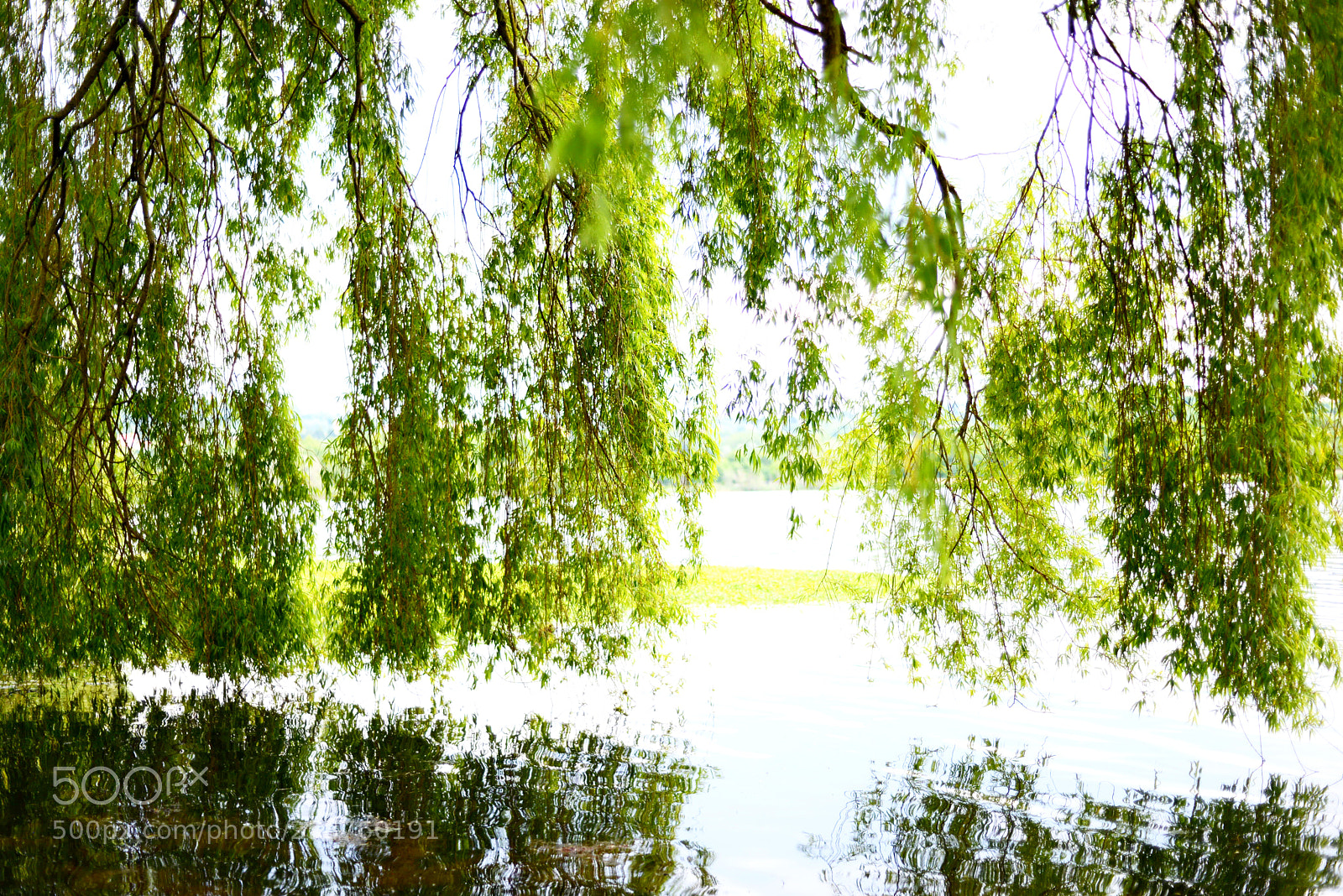Nikon D600 sample photo. Schiranna 3 photography