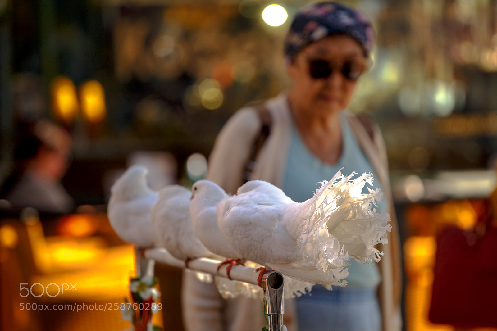 Canon EOS 6D sample photo. Whites photography