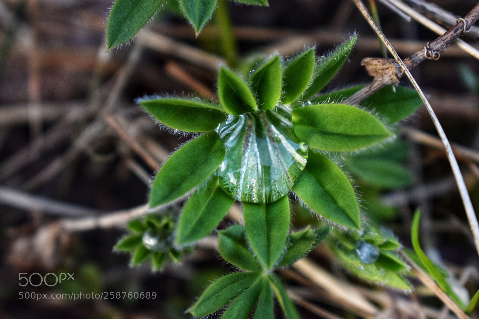 Nikon D5600 sample photo. Untitled photography