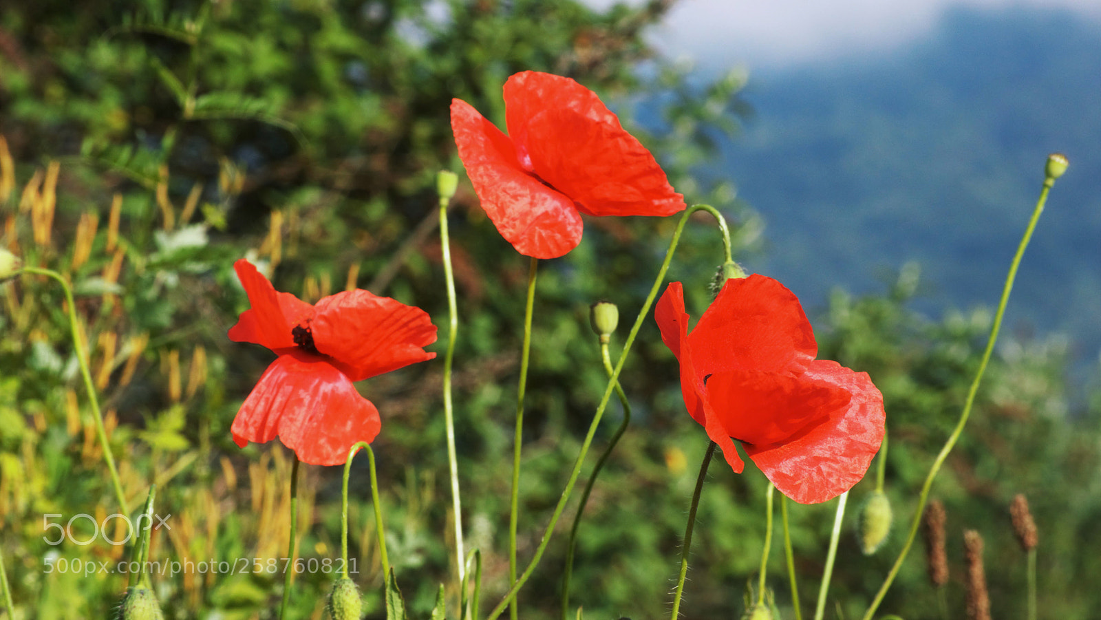 Nikon D3200 sample photo. Untitled photography