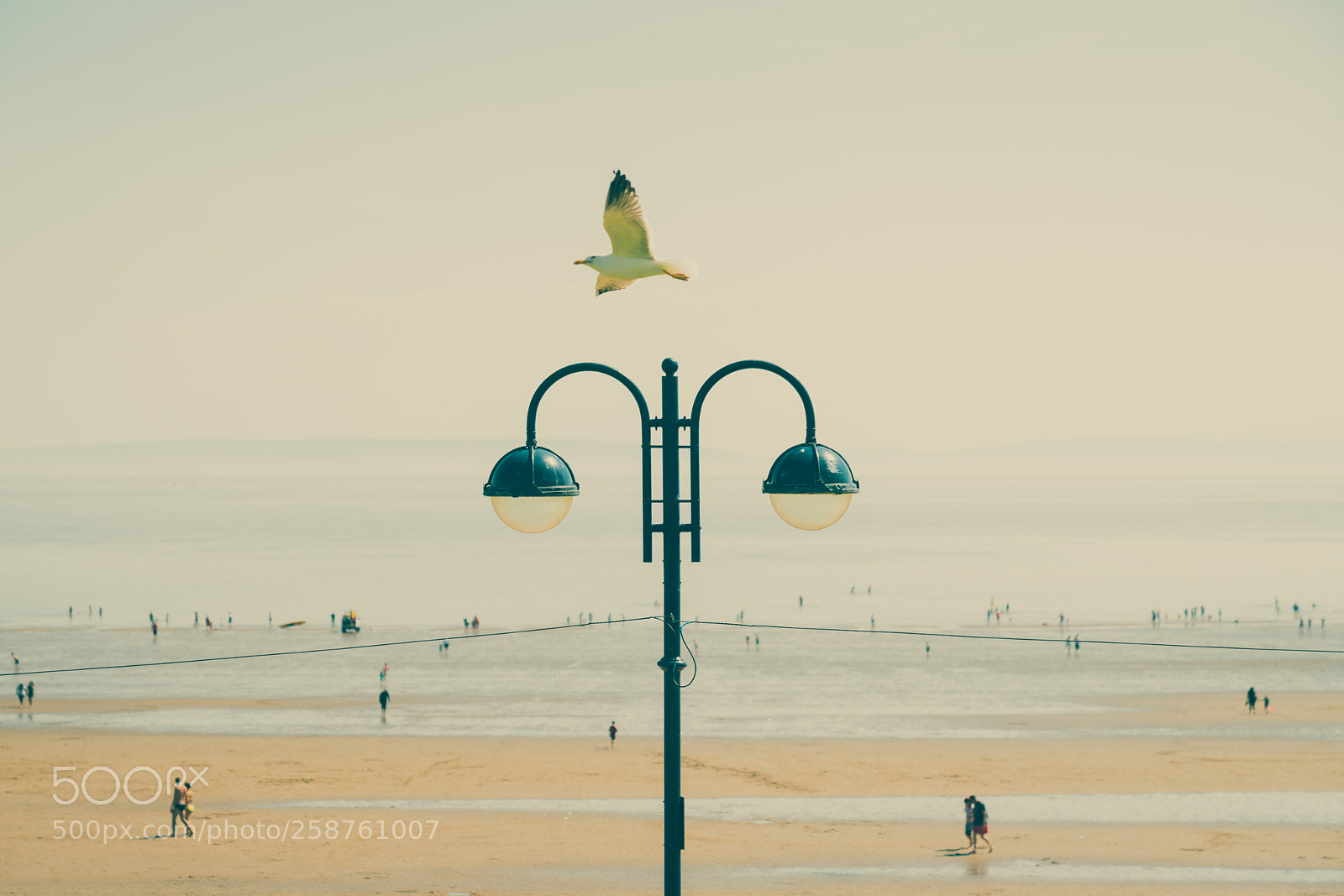 Sony a7R II sample photo. Barry island photography