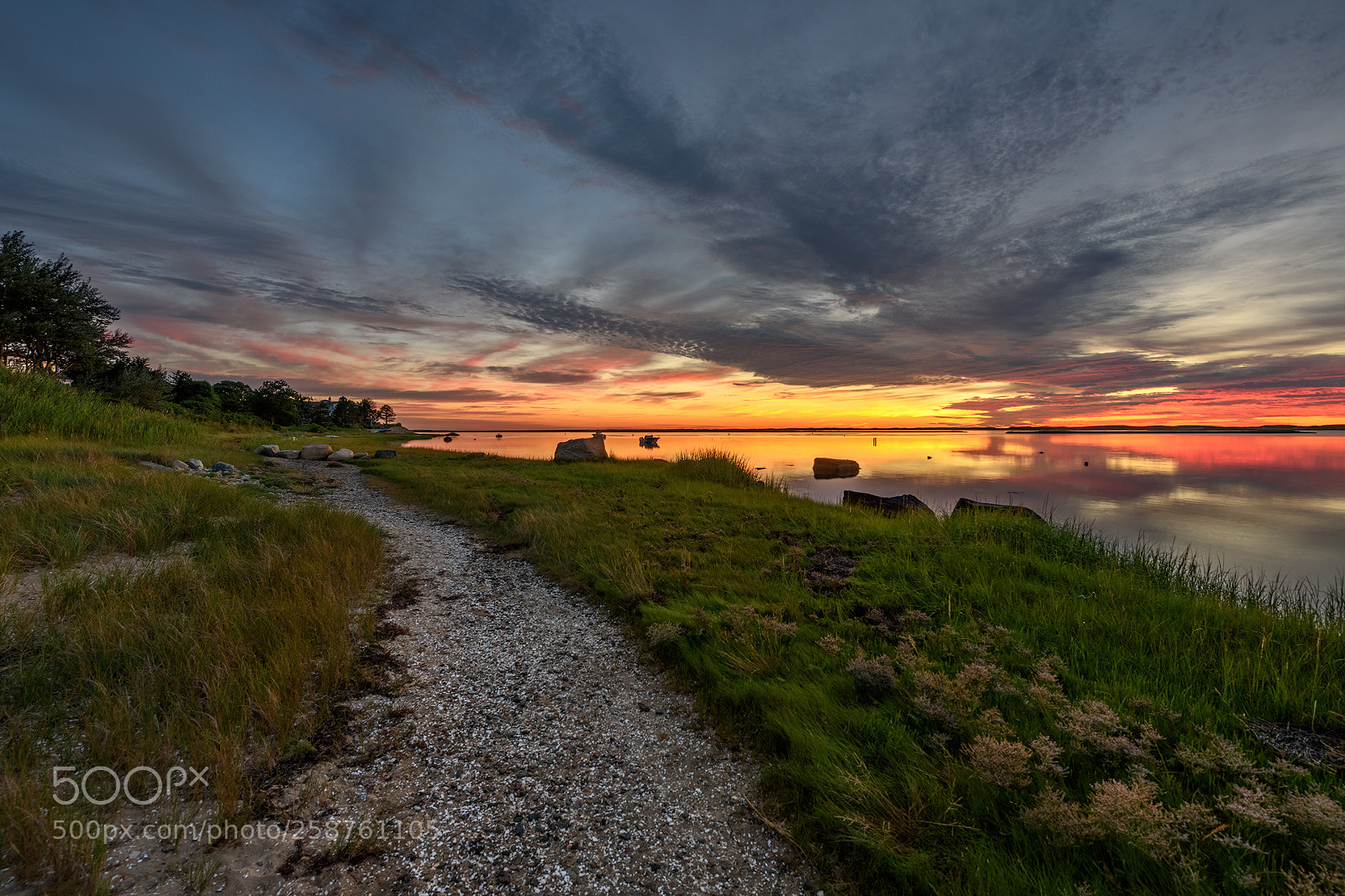 Nikon D810 sample photo. The path photography