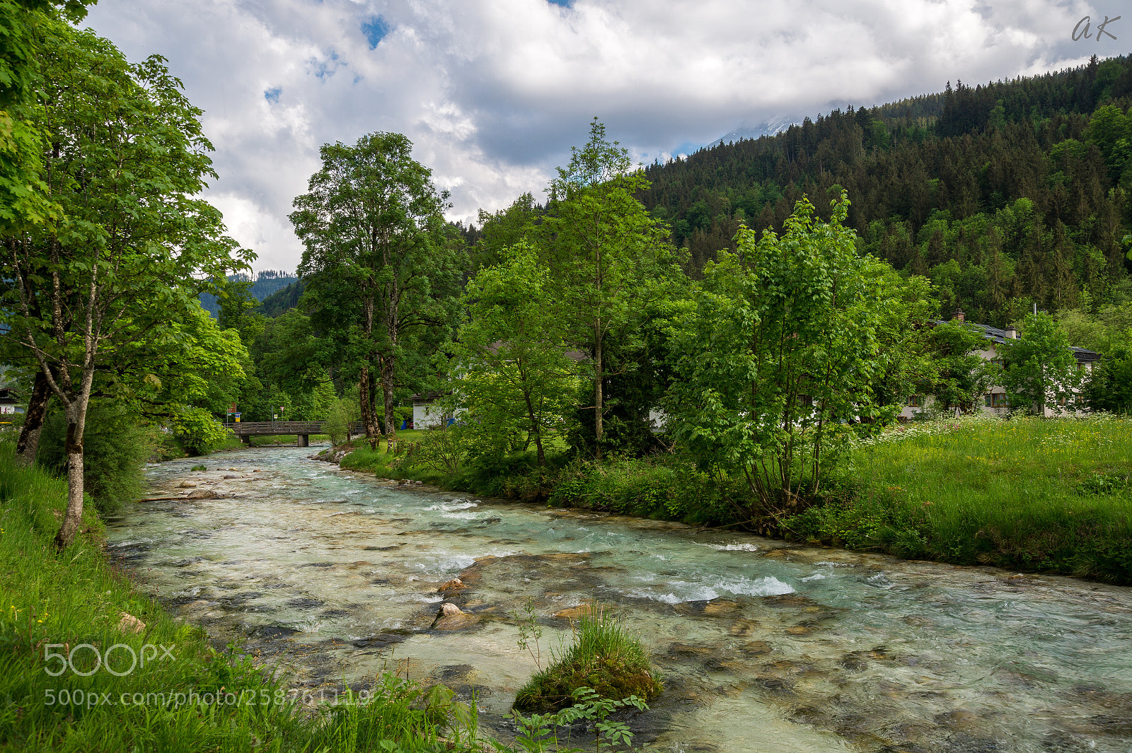Sony SLT-A58 sample photo. Evergreen photography