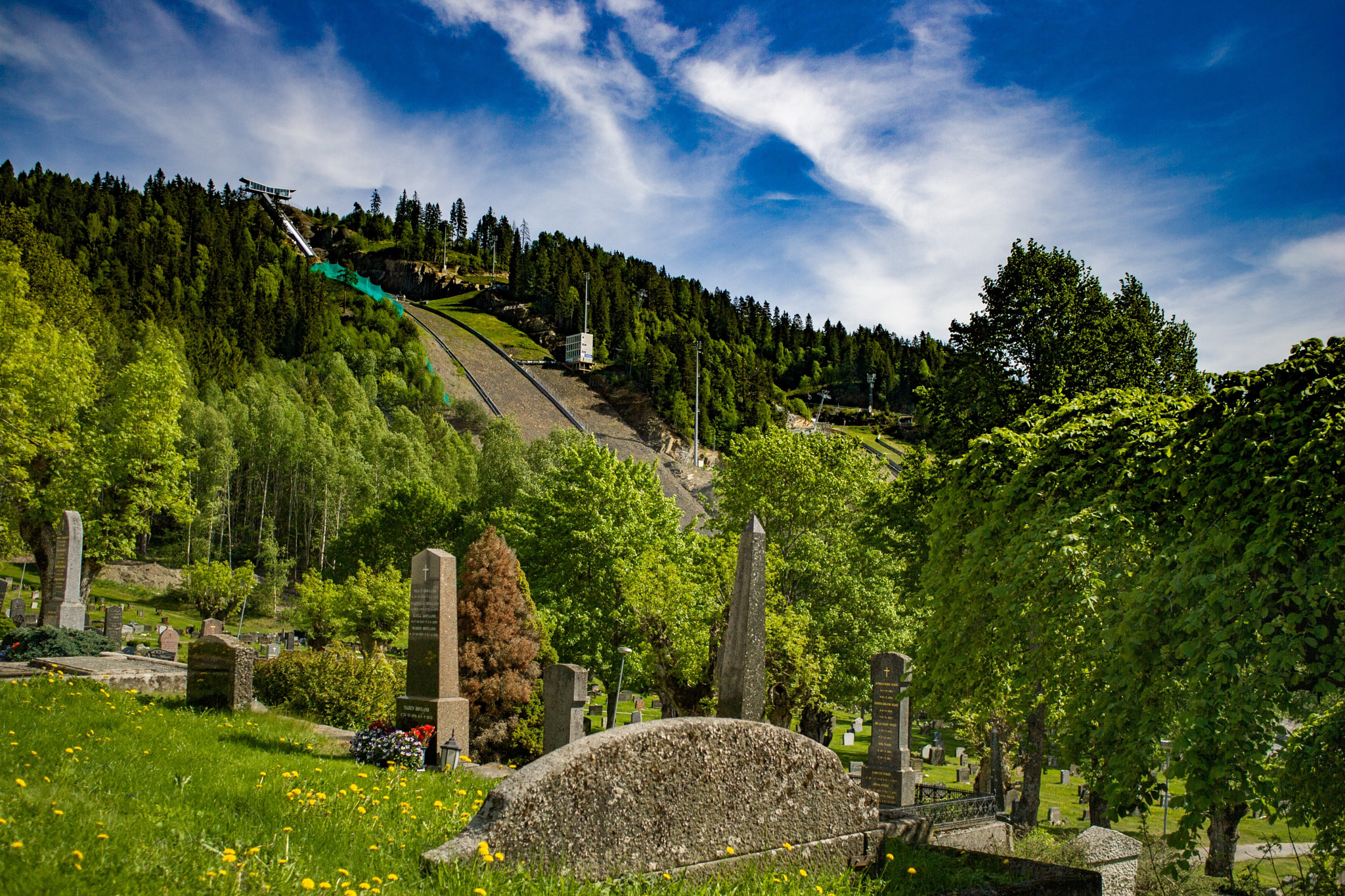 Canon EOS-1D Mark II sample photo. Skiflying hill in summer photography