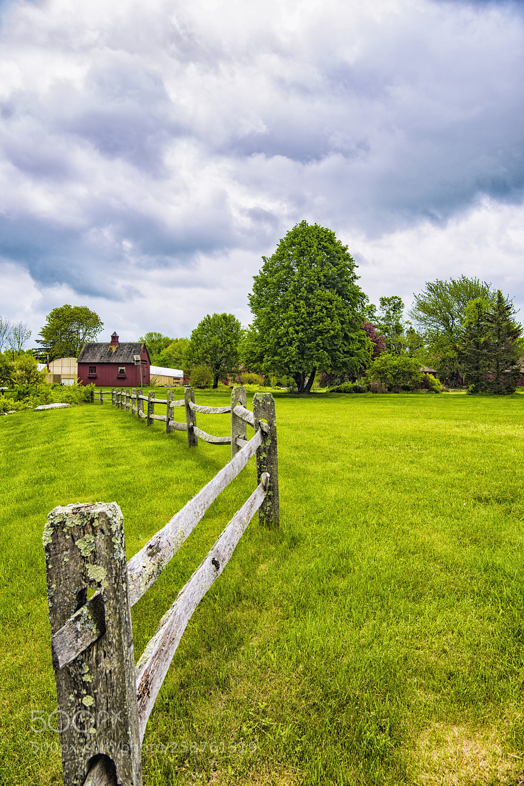 Nikon D810 sample photo. _1sk3606-2.jpg photography