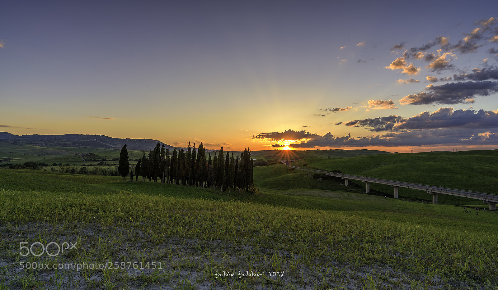 Nikon D750 sample photo. I cipressini di san photography