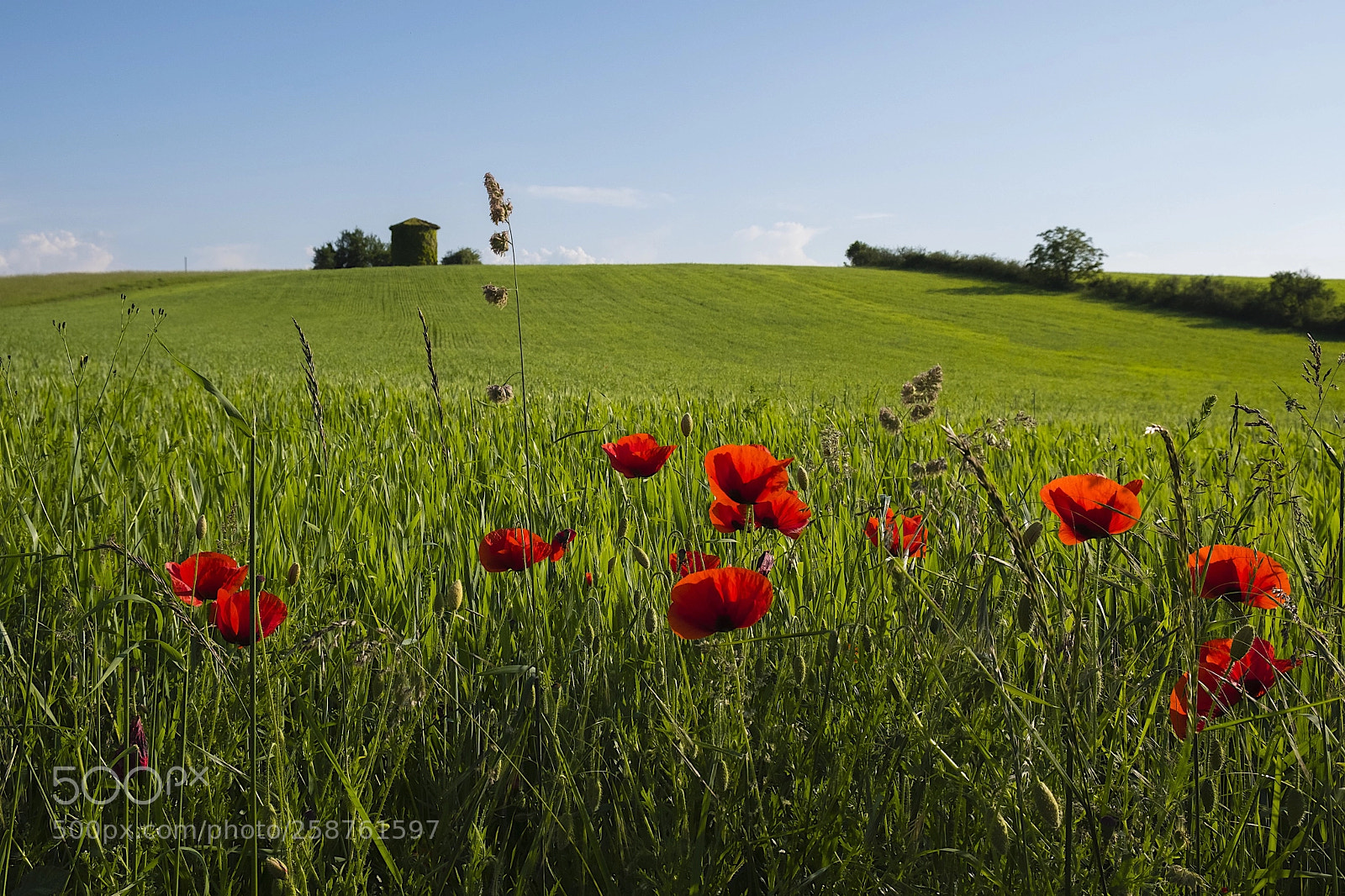 Fujifilm X-T20 sample photo. C'est À bazian en gascogne  ! photography