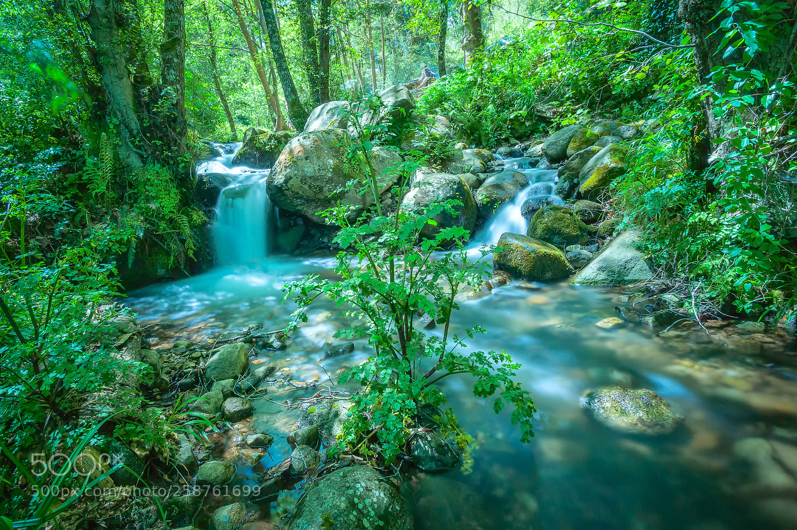 Sony Alpha DSLR-A350 sample photo. Natural meetings photography