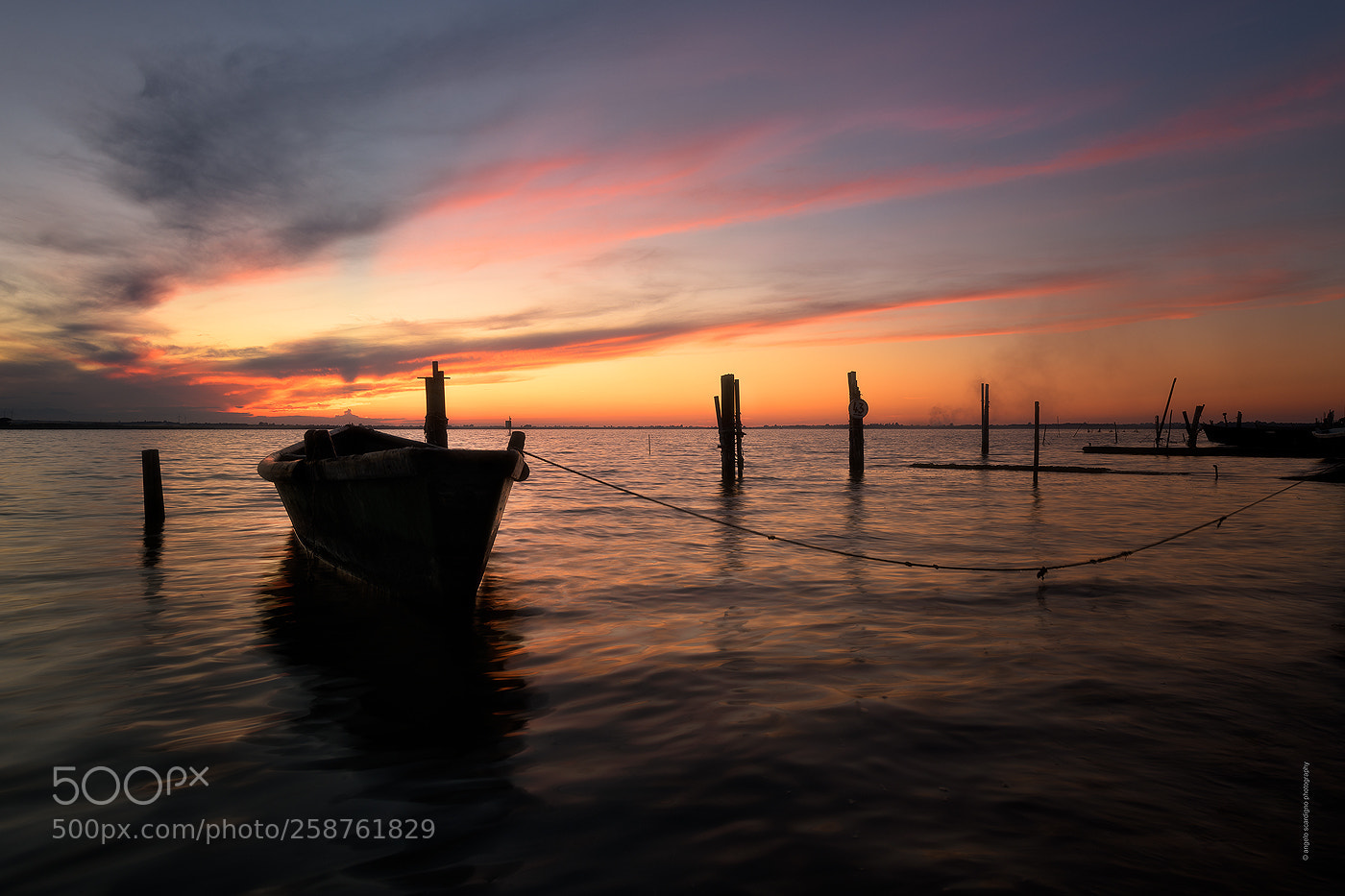 Nikon D850 sample photo. Magic light photography
