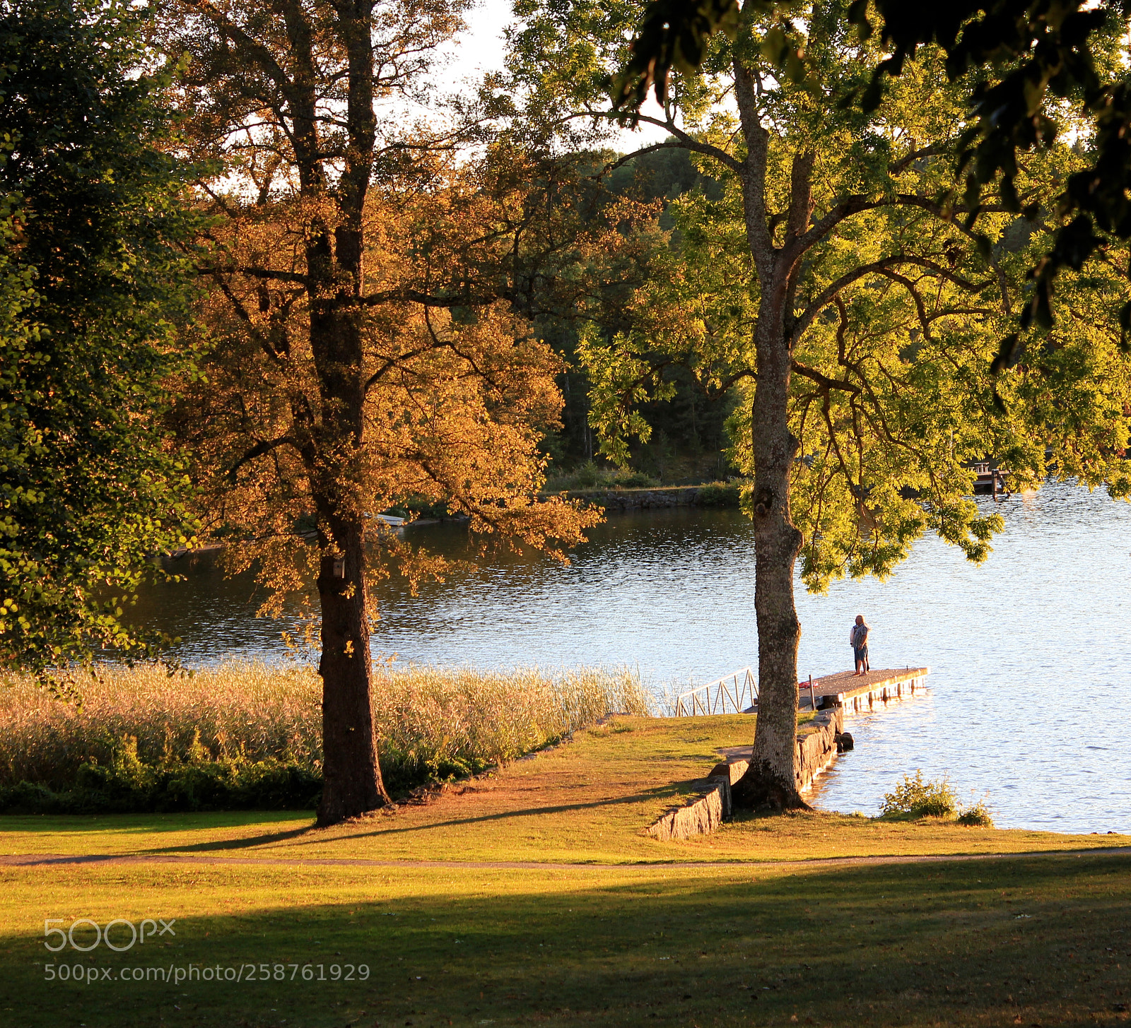 Canon EOS 550D (EOS Rebel T2i / EOS Kiss X4) sample photo. Autumn leaves in lake photography