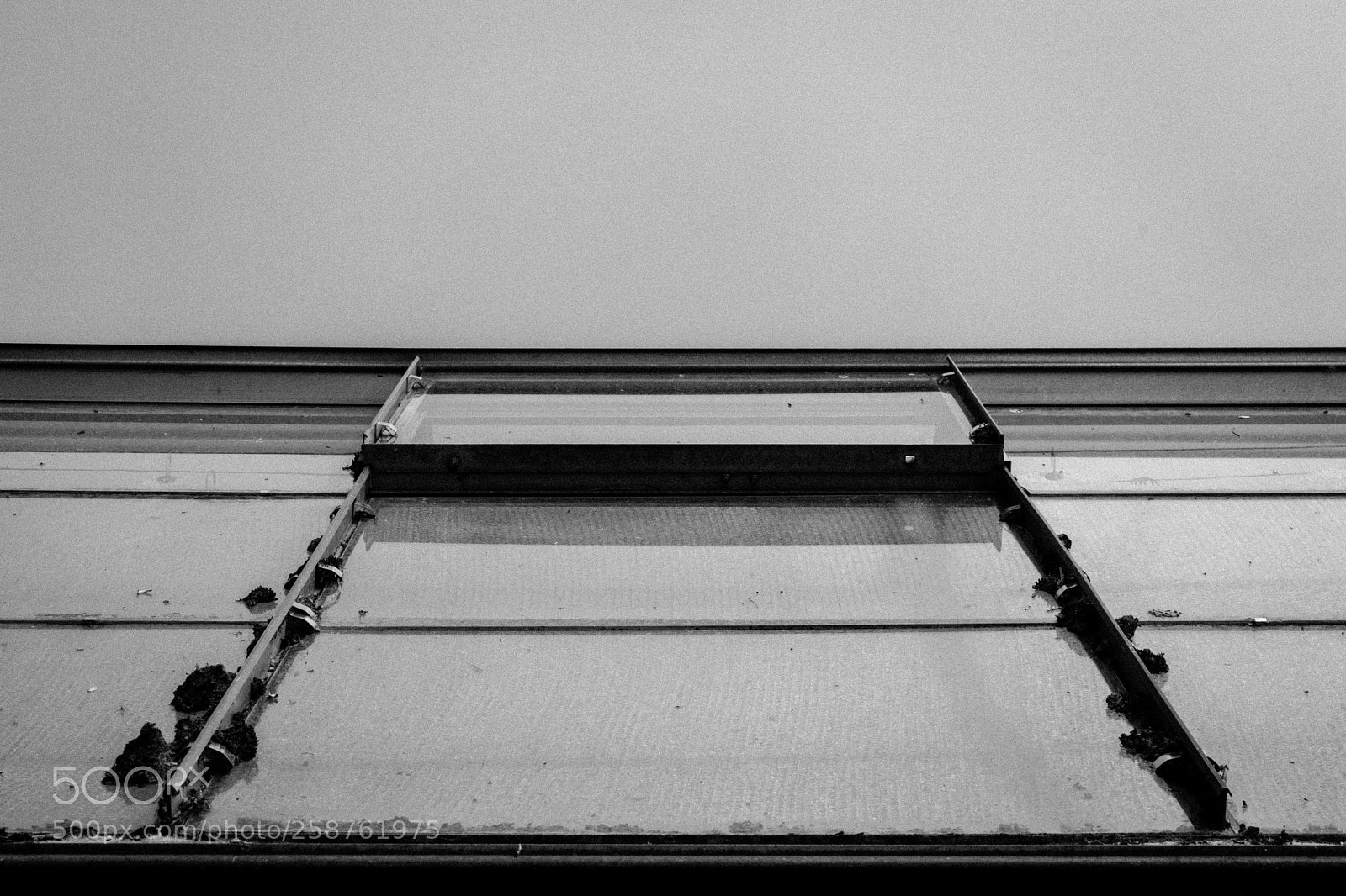 Nikon D3400 sample photo. Glass greenhouse photography