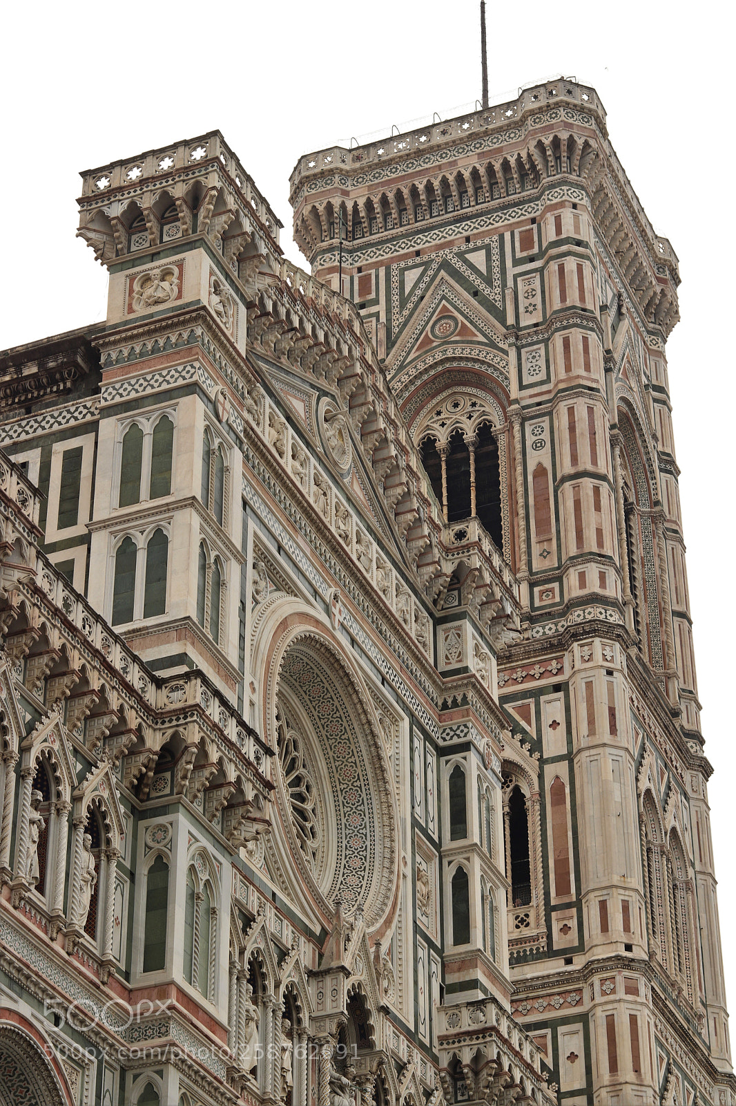 Canon EOS 750D (EOS Rebel T6i / EOS Kiss X8i) sample photo. Pictures of florence photography