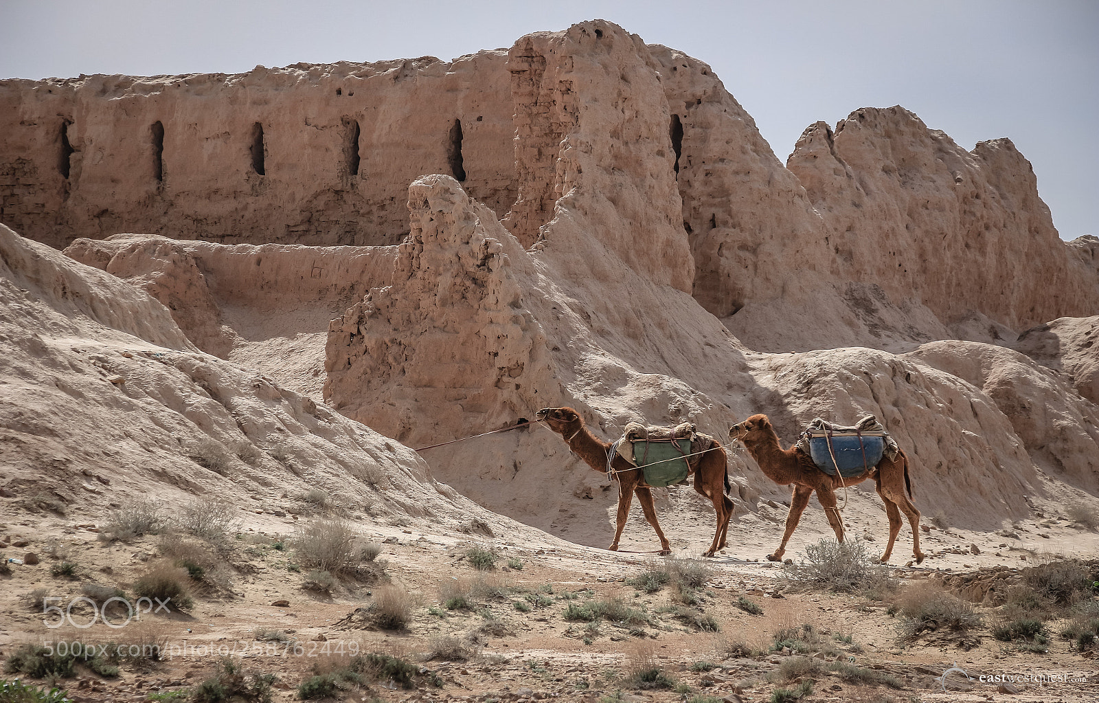 Canon EOS 700D (EOS Rebel T5i / EOS Kiss X7i) sample photo. Discovering the ancient kingdom photography