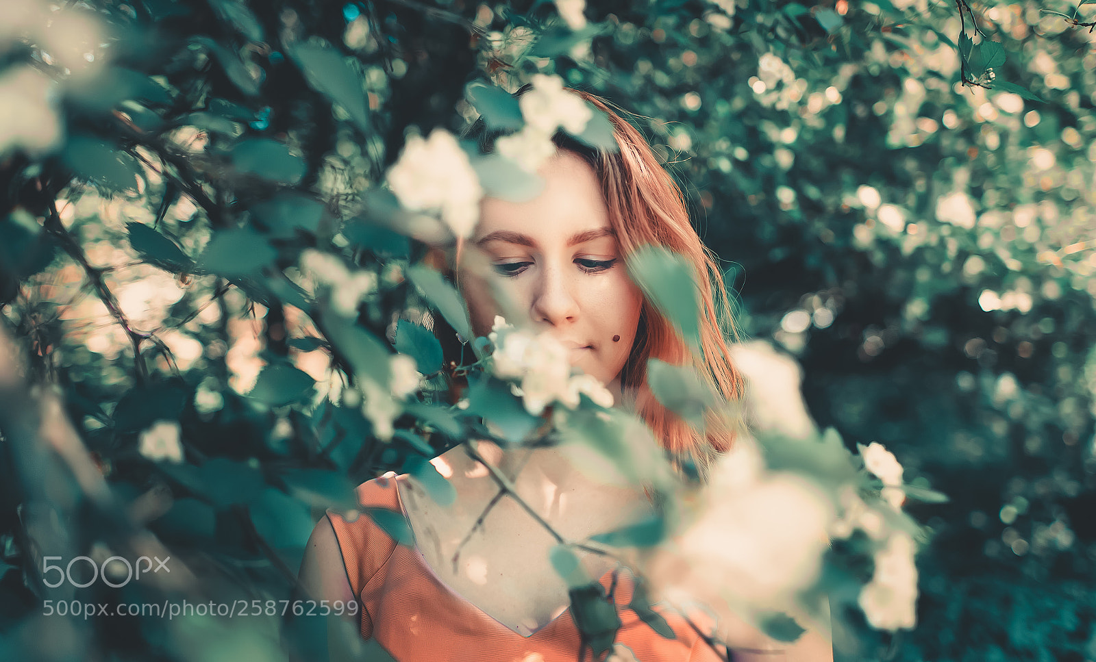 Canon EOS 5D Mark II sample photo. Orange and green photography