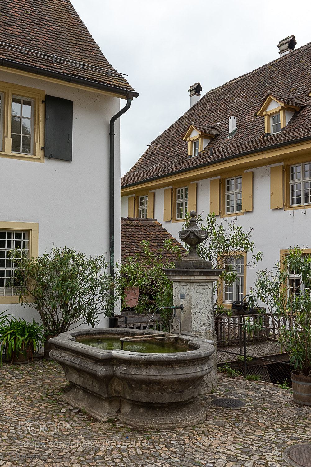 Nikon D810 sample photo. Merian gärten photography