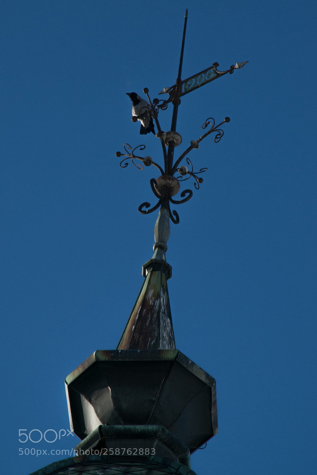 Nikon D5300 sample photo. Version photography