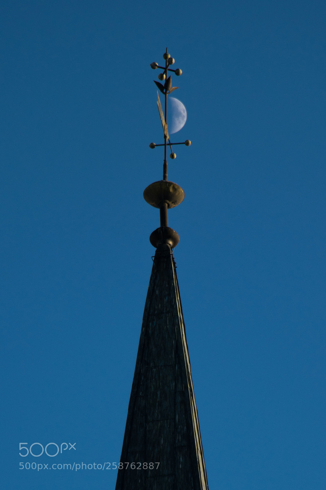 Nikon D5300 sample photo. Version photography