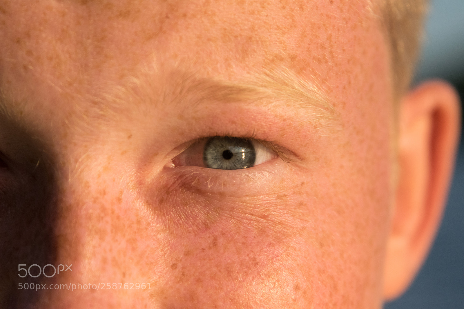 Nikon D5300 sample photo. () photography