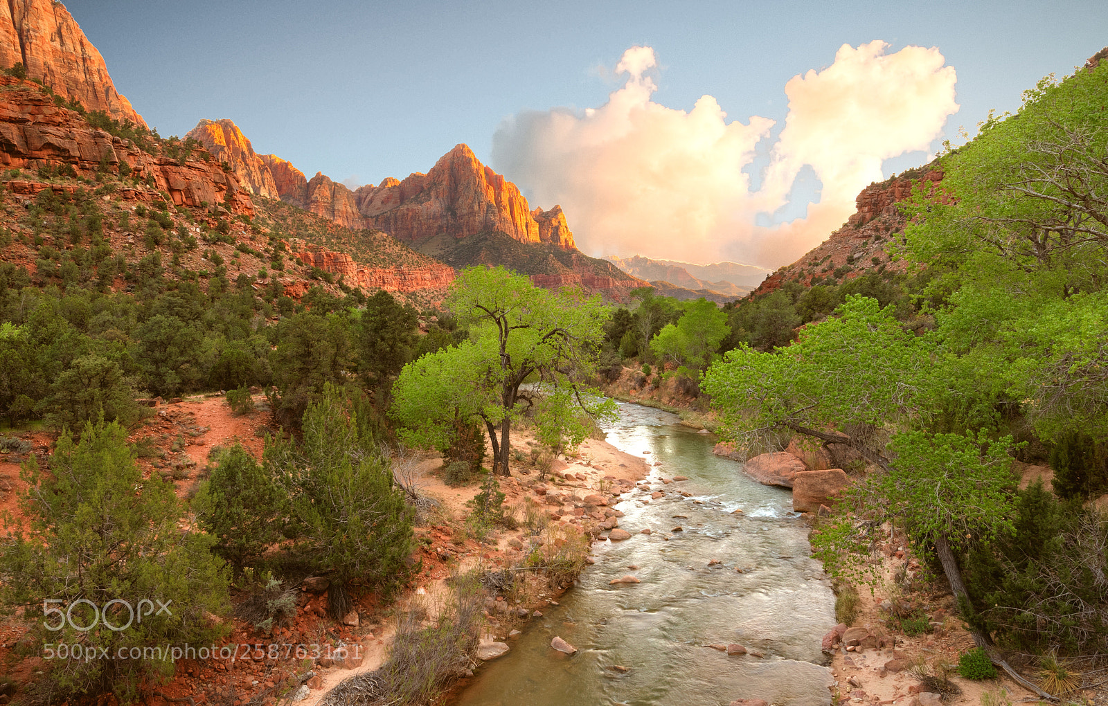 Nikon D850 sample photo. Sunset at zion national photography