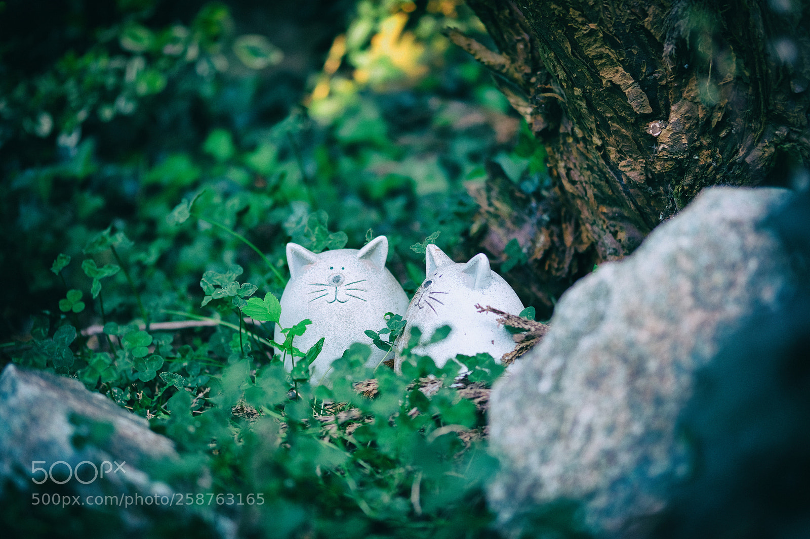 Fujifilm X-T20 sample photo. Garden . sunday photography