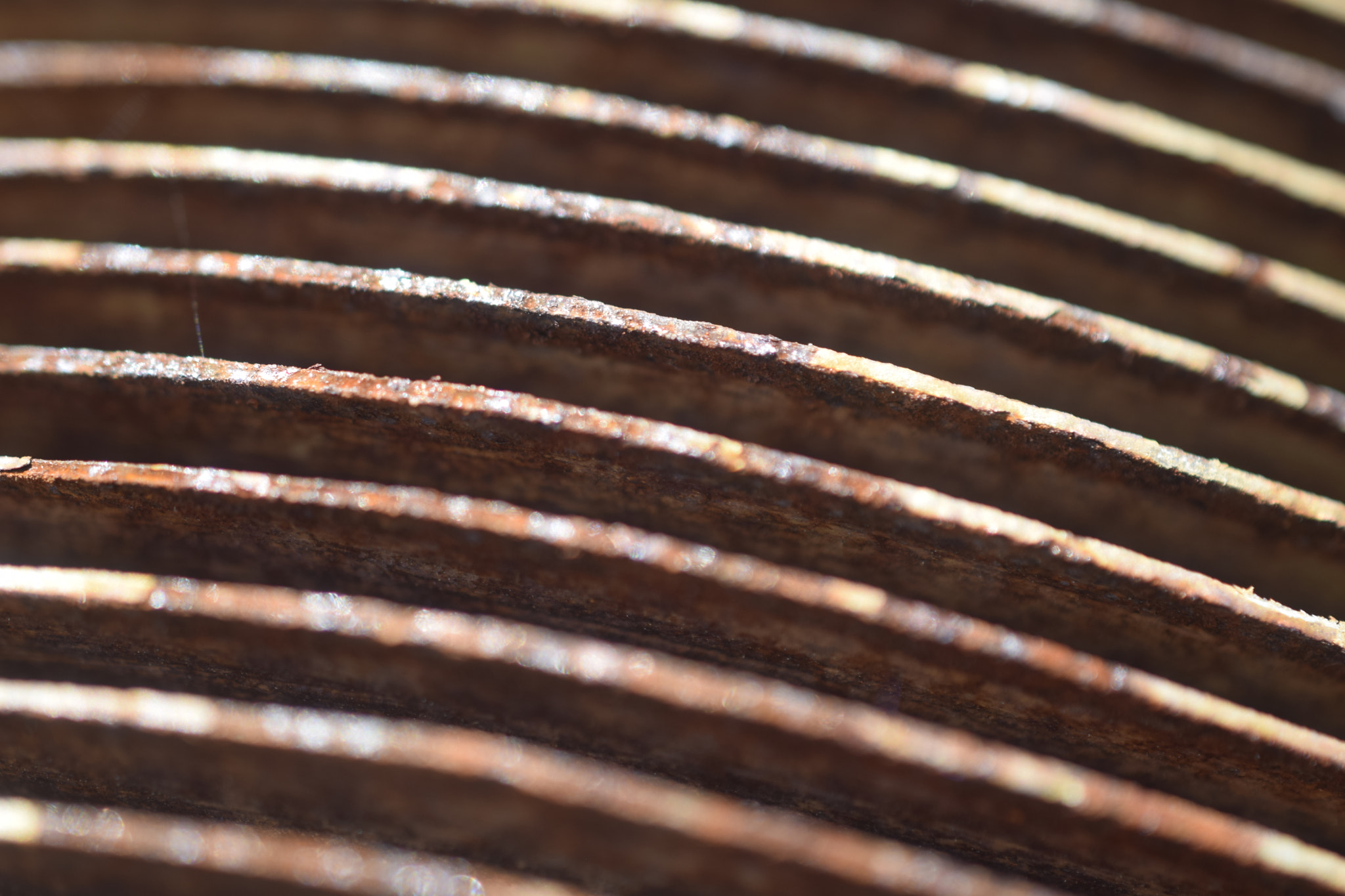 Nikon AF-S DX Micro Nikkor 40mm F2.8 sample photo. Fins photography
