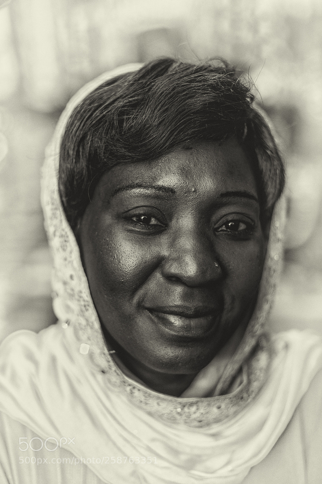 Nikon D850 sample photo. Untitled copy photography
