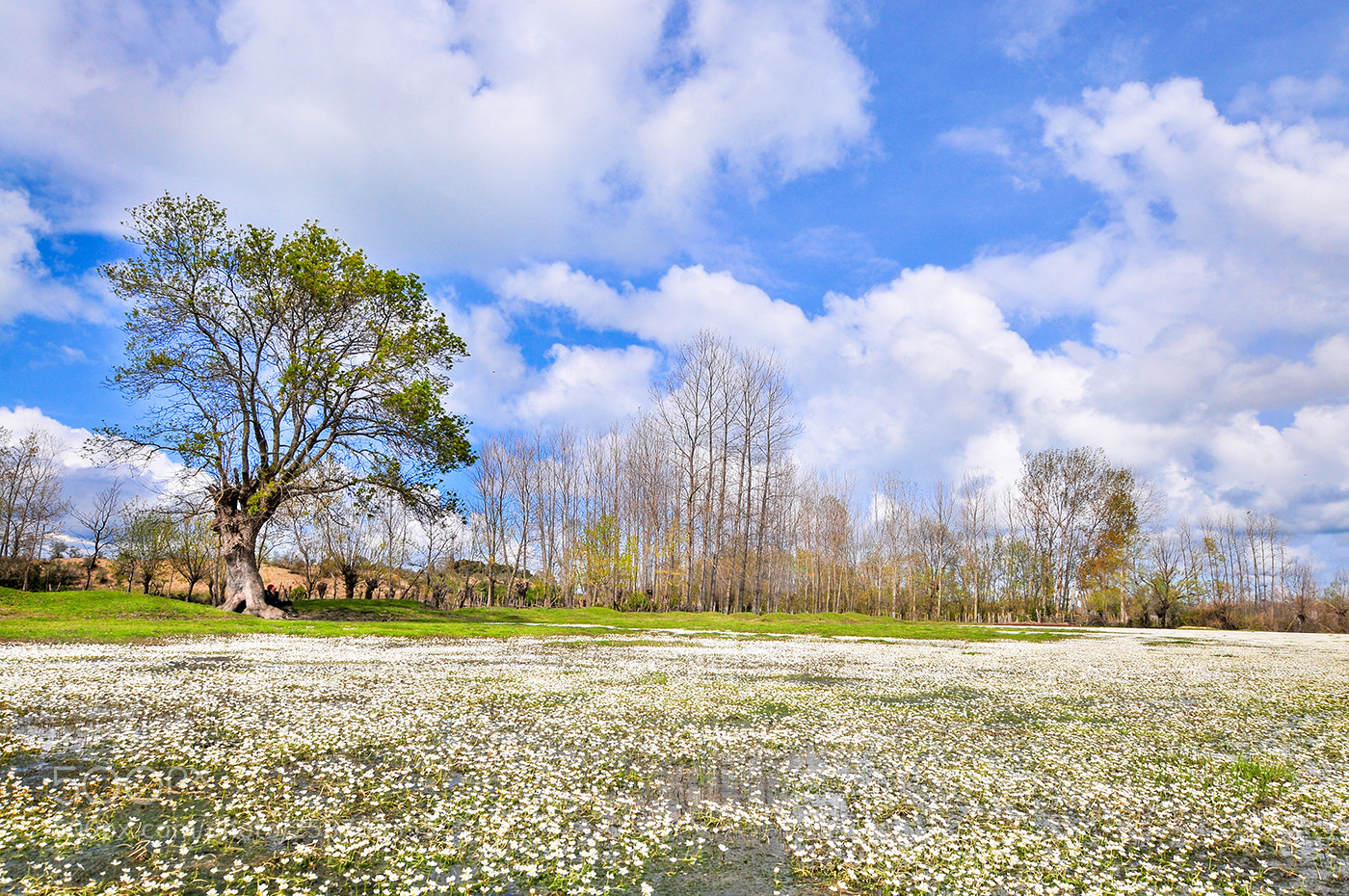 Nikon D300 sample photo. 21.05.2018 - 4 photography