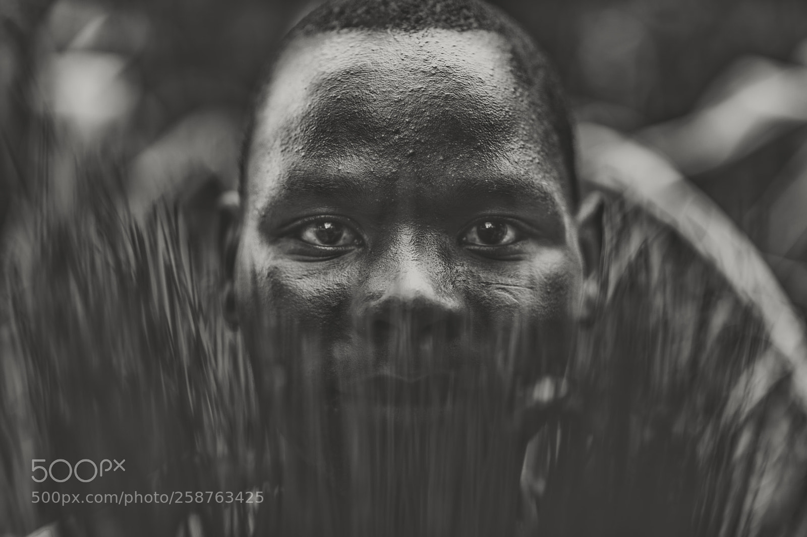 Nikon D850 sample photo. Untitled photography