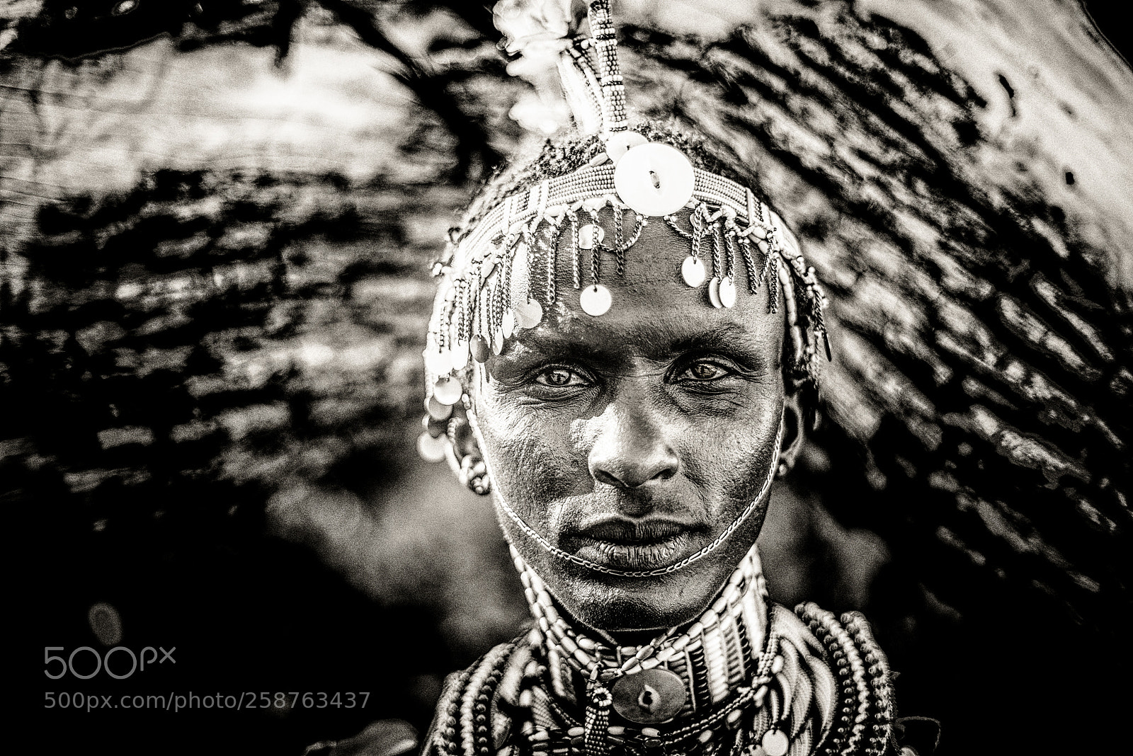 Nikon D810 sample photo. Samburu warrior photography