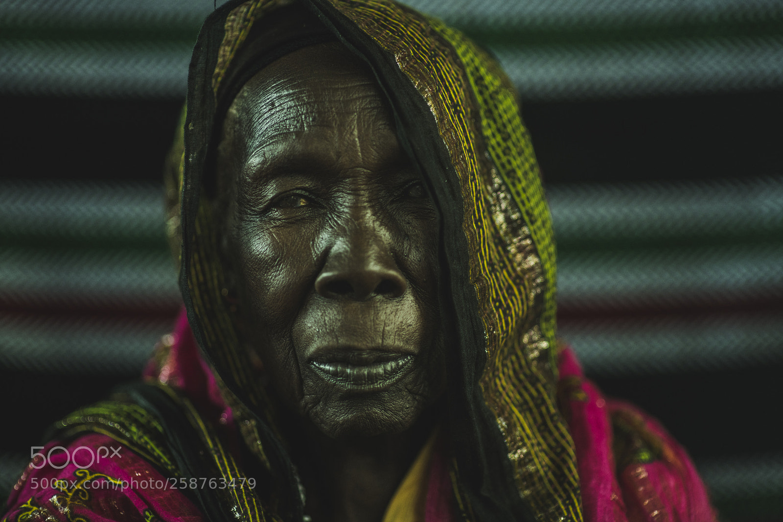 Nikon D850 sample photo. Untitled photography