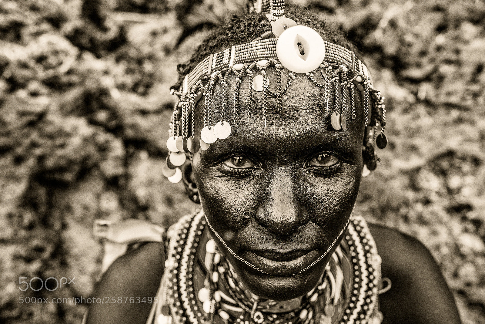 Nikon D810 sample photo. Untitled photography