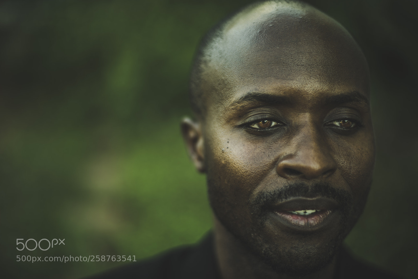 Nikon D810 sample photo. Untitled photography