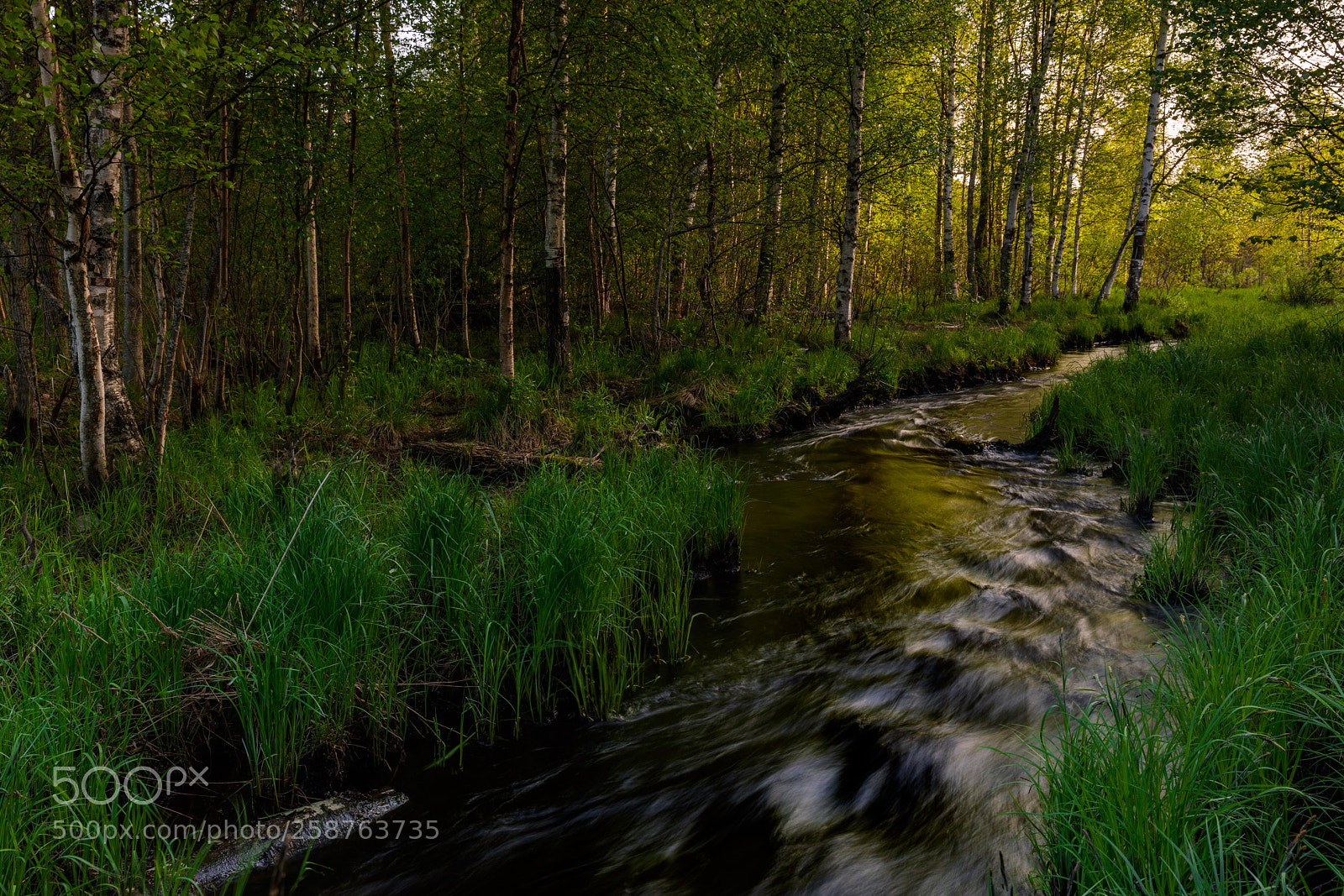 Canon EOS 5DS R sample photo. Spring creek photography