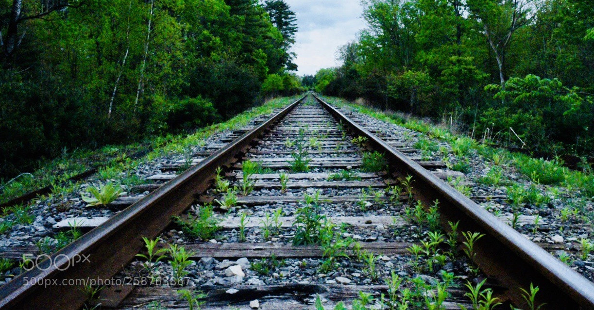 Nikon D750 sample photo. Make new tracks  photography