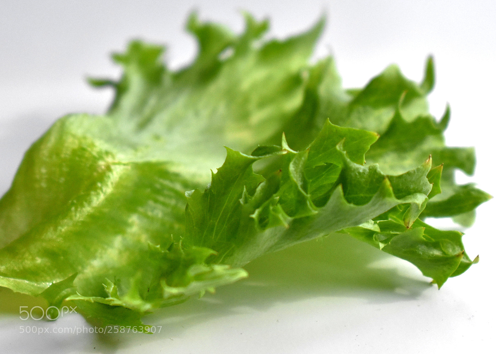 Nikon D3400 sample photo. Green salad leaves photography