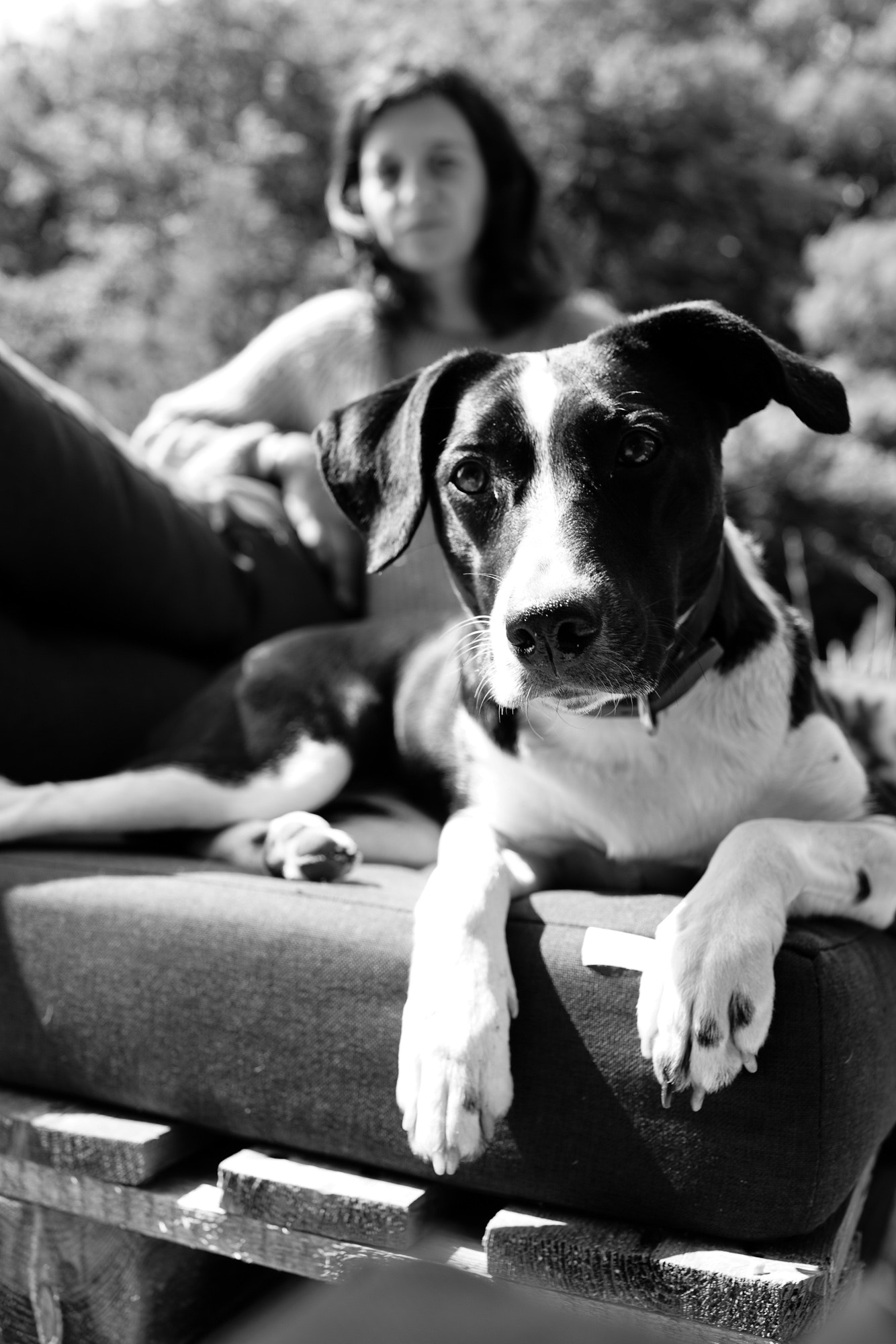 Sony Cyber-shot DSC-RX1R II sample photo. Lazy sunday afternoon photography