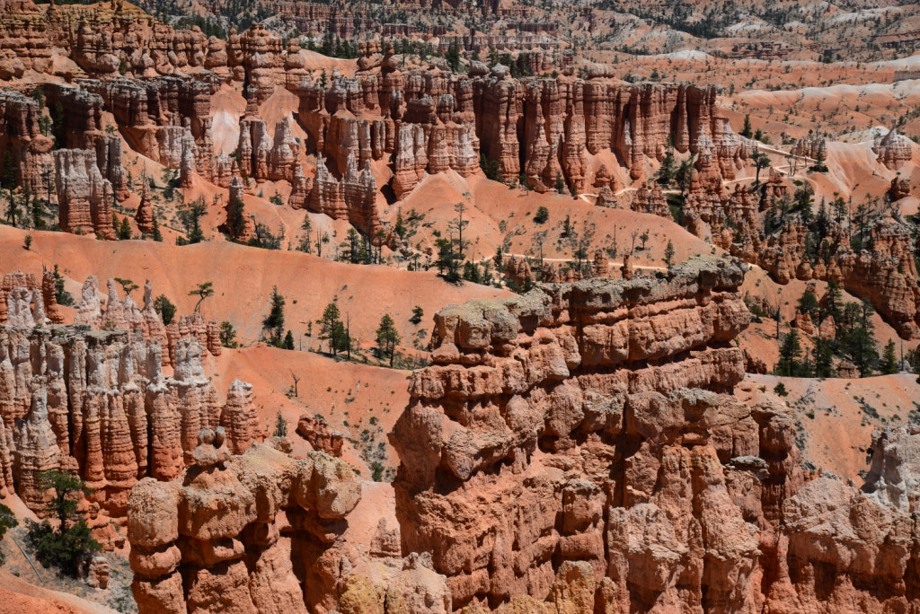 Nikon D610 + Sigma 24-105mm F4 DG OS HSM Art sample photo. Bryce canyon - usa photography