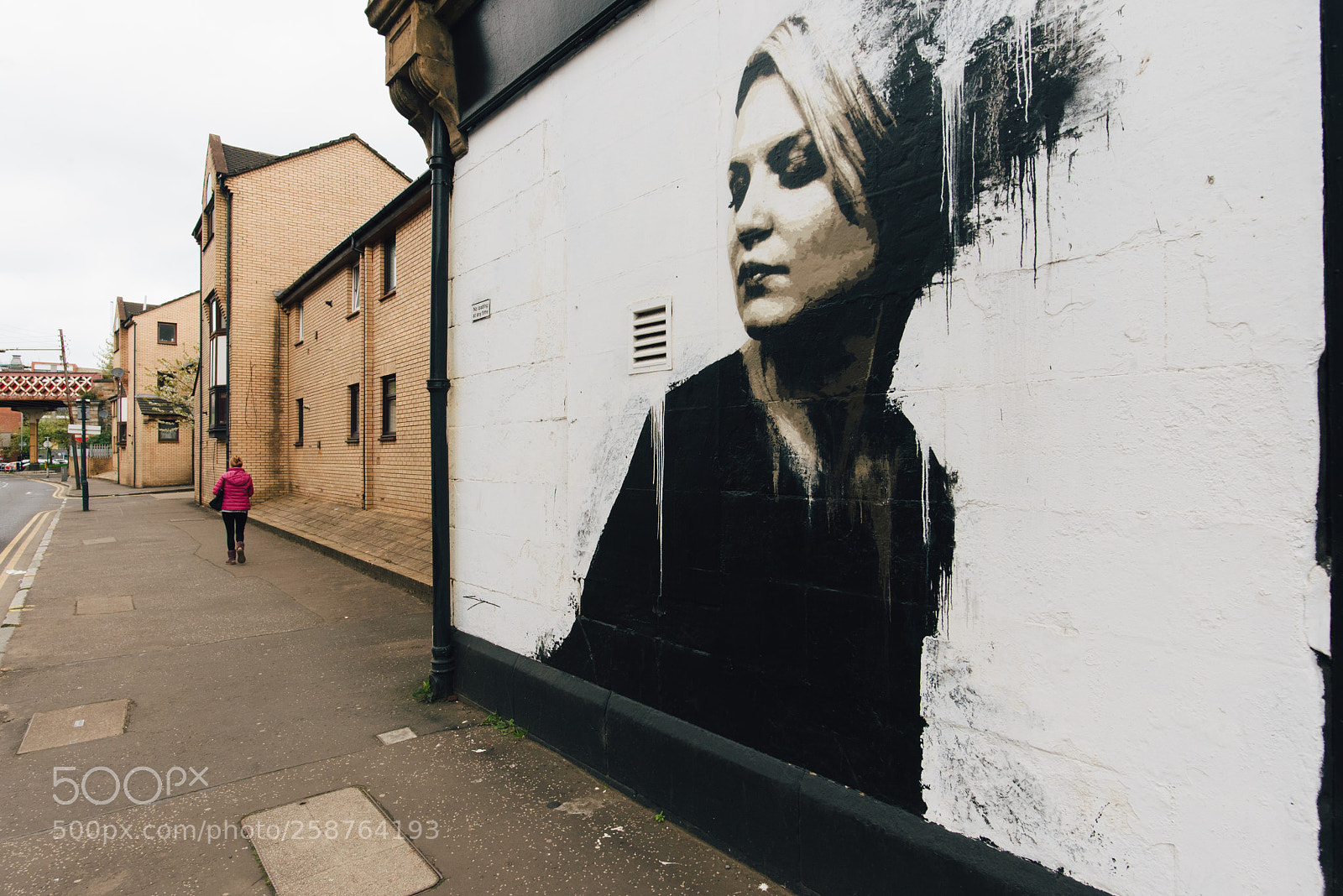 Nikon D800 sample photo. Glasgow murals 09 photography