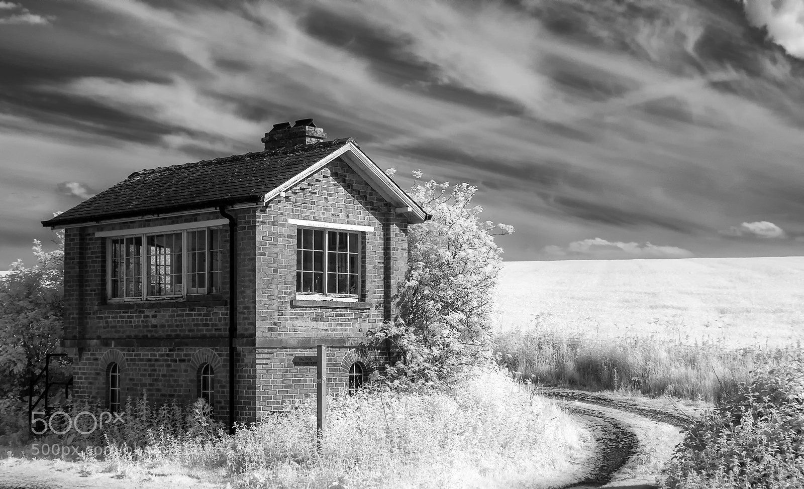 Nikon D80 sample photo. Kiplingcoates station ir mono photography