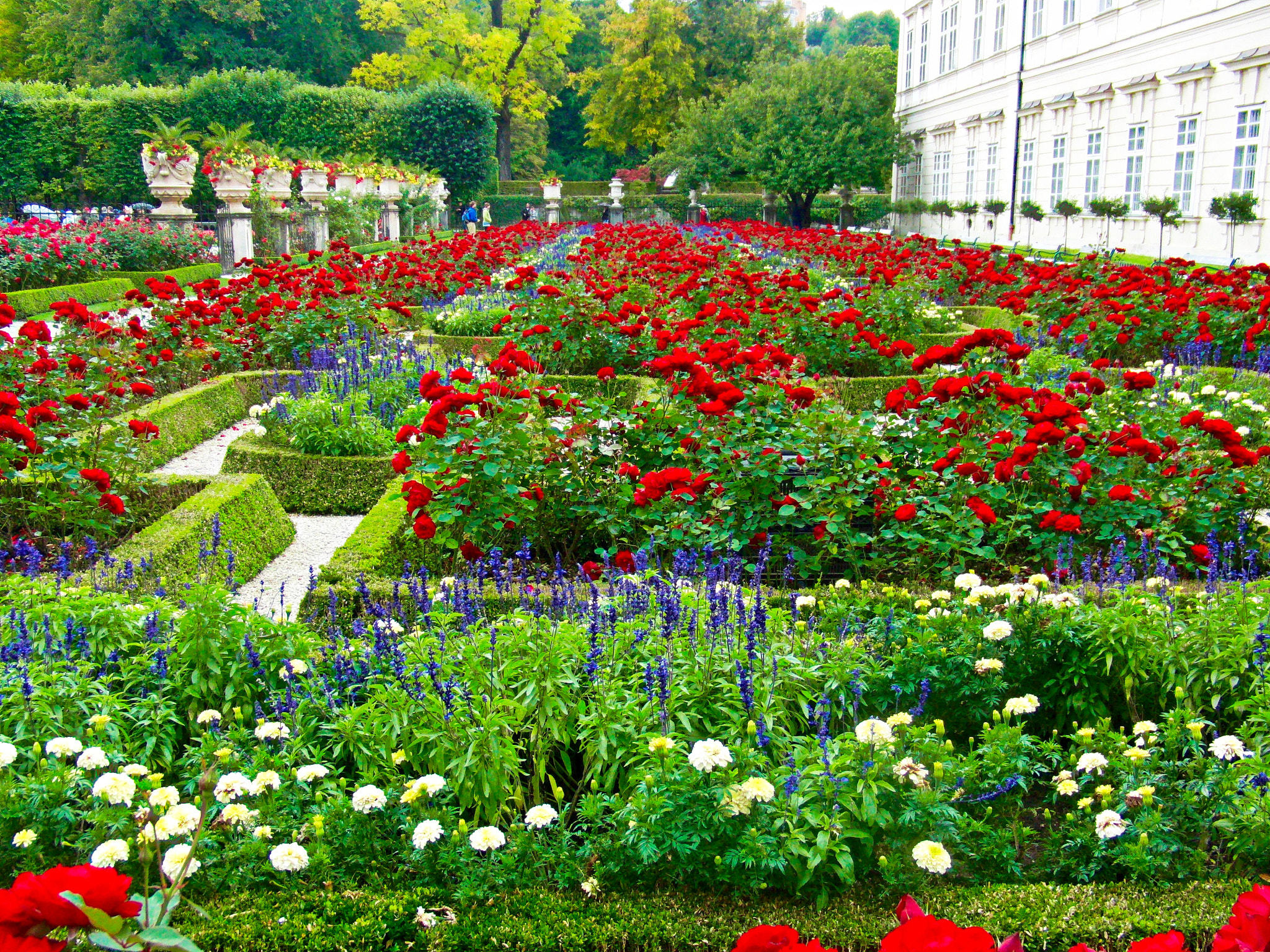 CASIO EX-FC150 sample photo. Mirabell gardens study 5 photography