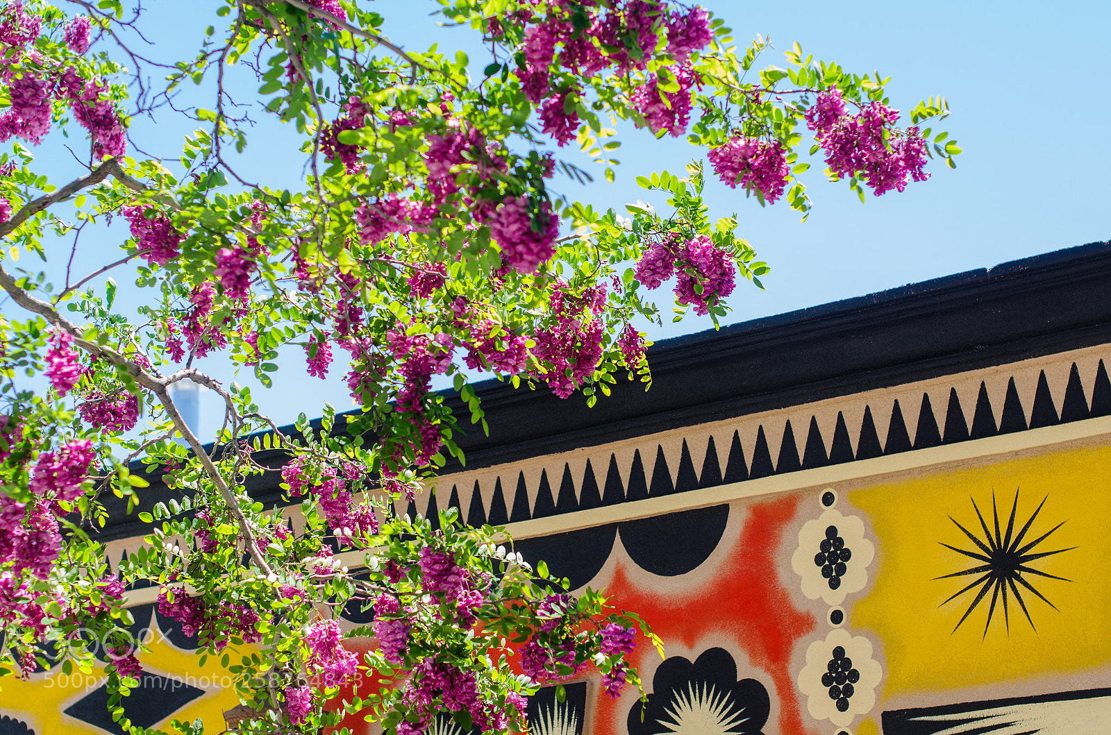Nikon D7000 sample photo. Santa fe photography