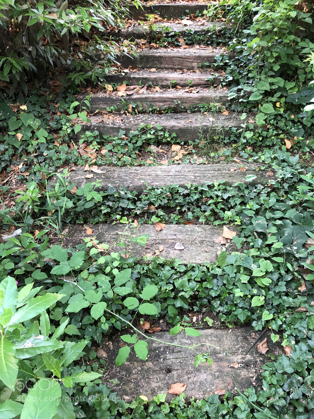 Apple iPhone 8 sample photo. Stairway to ... photography