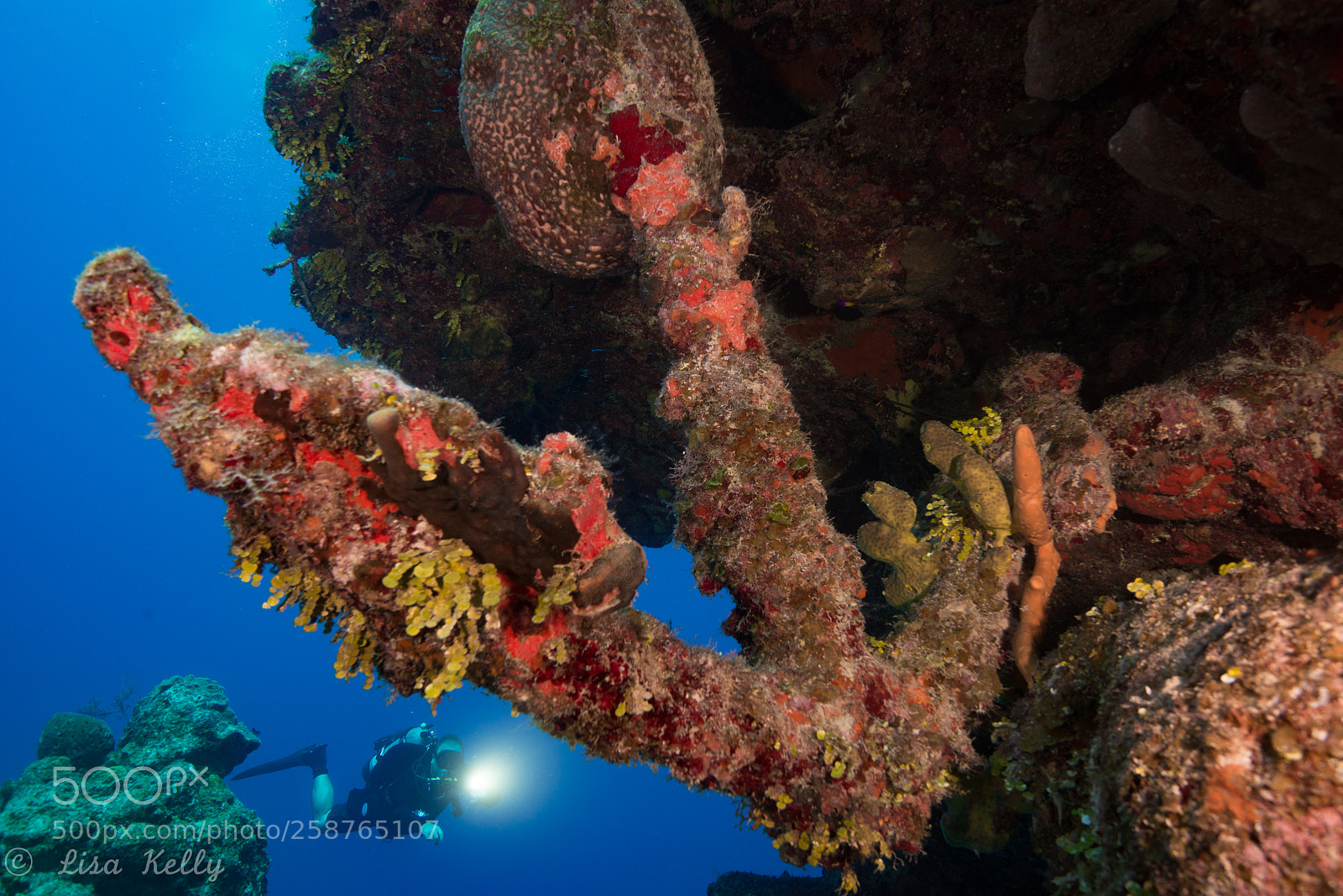 Nikon D800 sample photo. Crusty old anchor photography