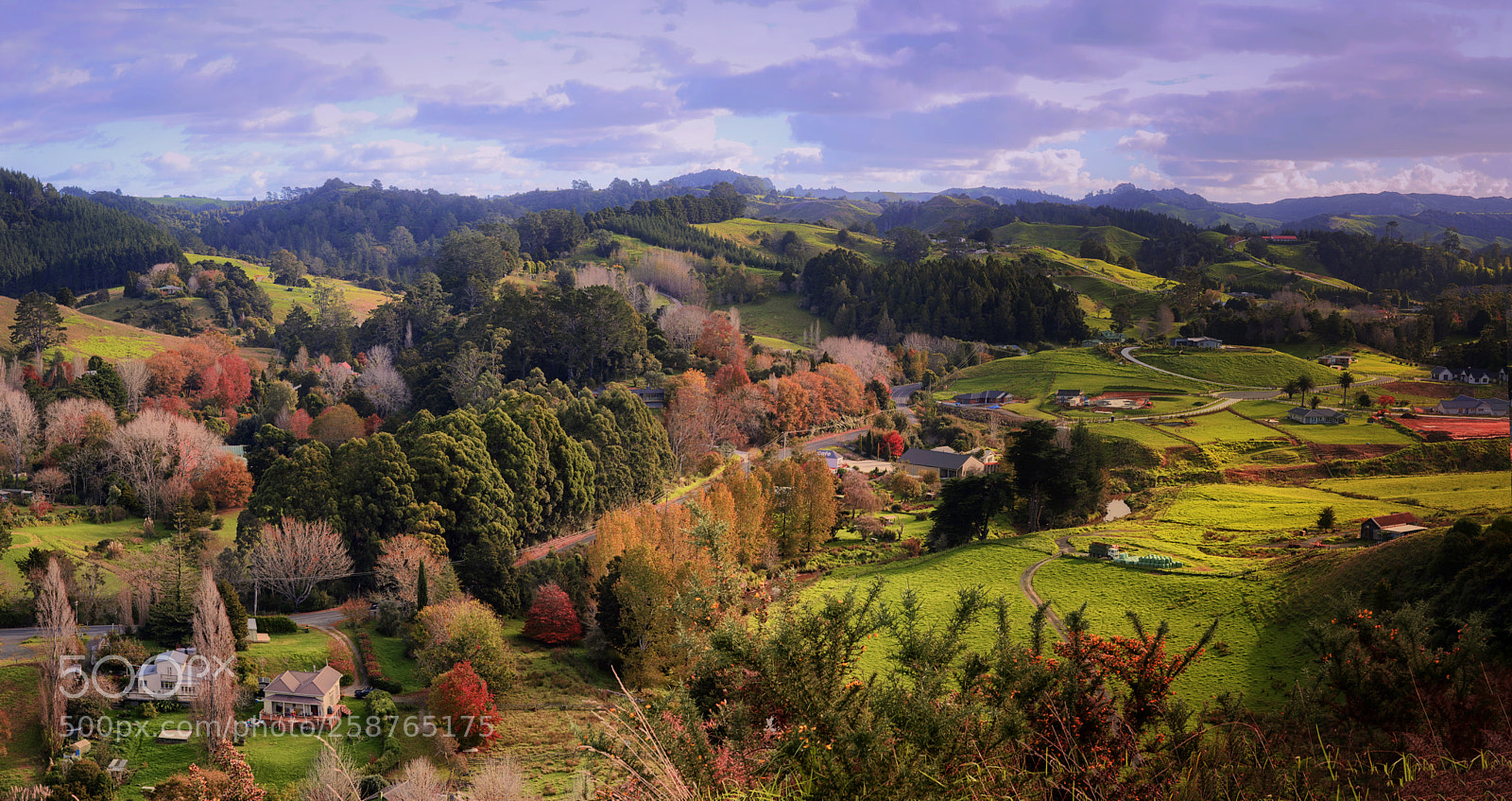 Nikon D800 sample photo. Autumn  in valley ii photography