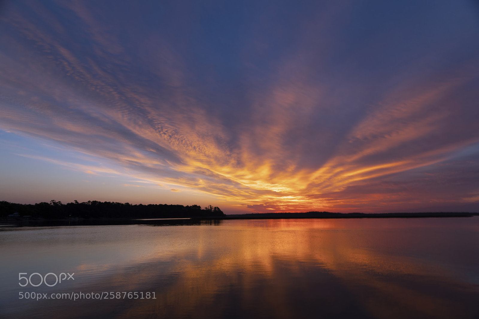 Canon EOS 5D Mark IV sample photo. Morning fire photography
