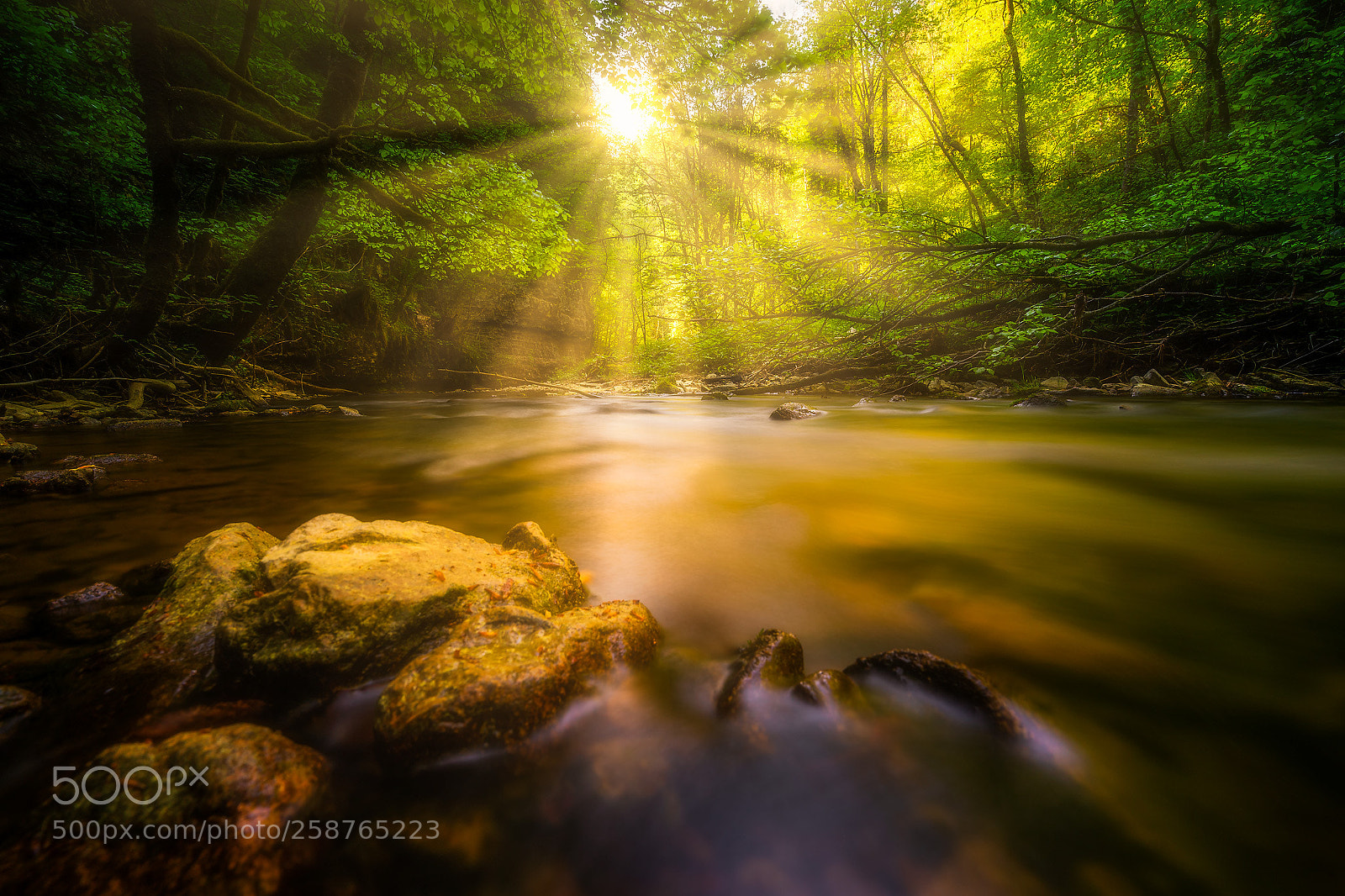 Sony a9 sample photo. Wutachschlucht photography