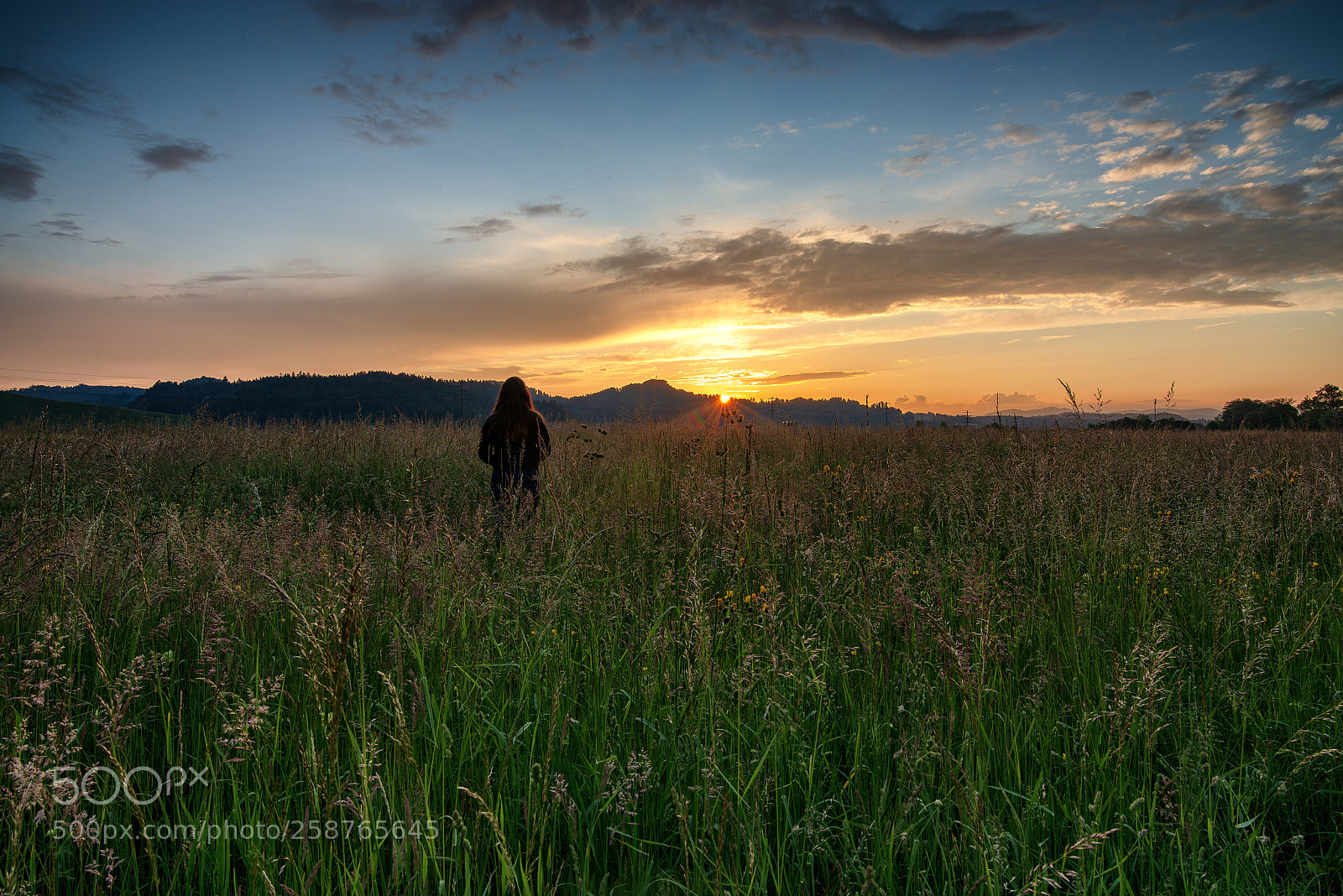 Nikon D800 sample photo. Watchin the sun photography