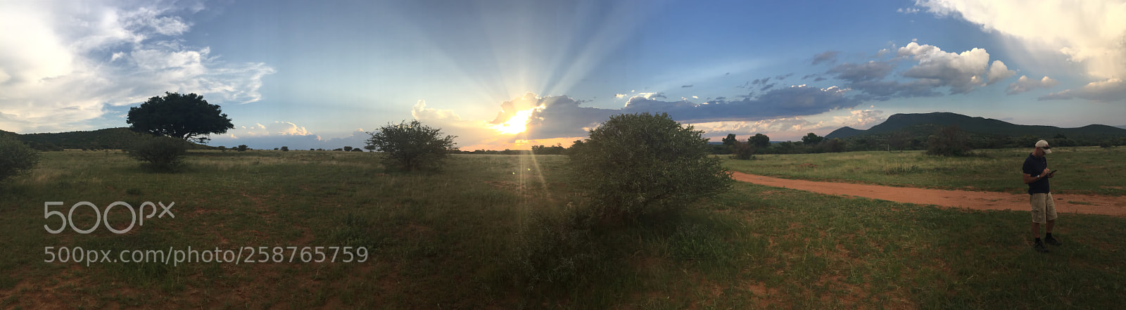 Apple iPhone 6 Plus sample photo. Safari reserva mabula,  photography